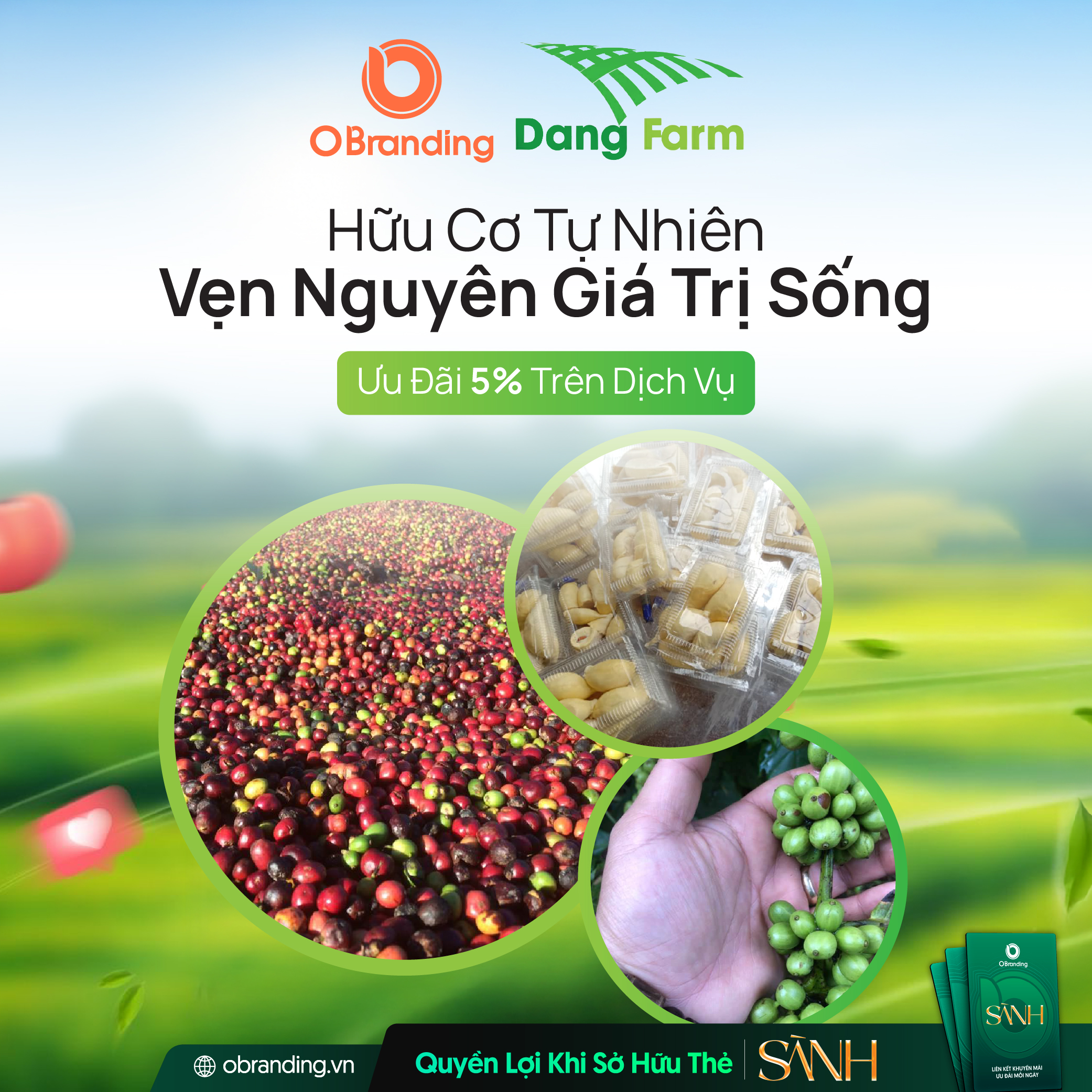 Ưu Đãi Độc Quyền Cho Hội Viên Thẻ Sành