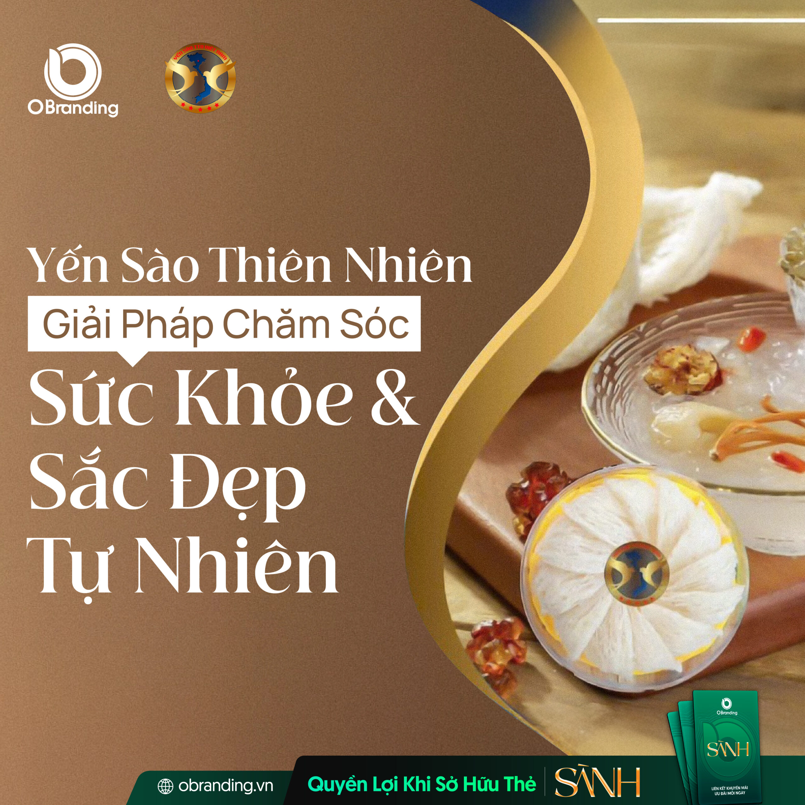 Yến Sào TTO Việt Nam