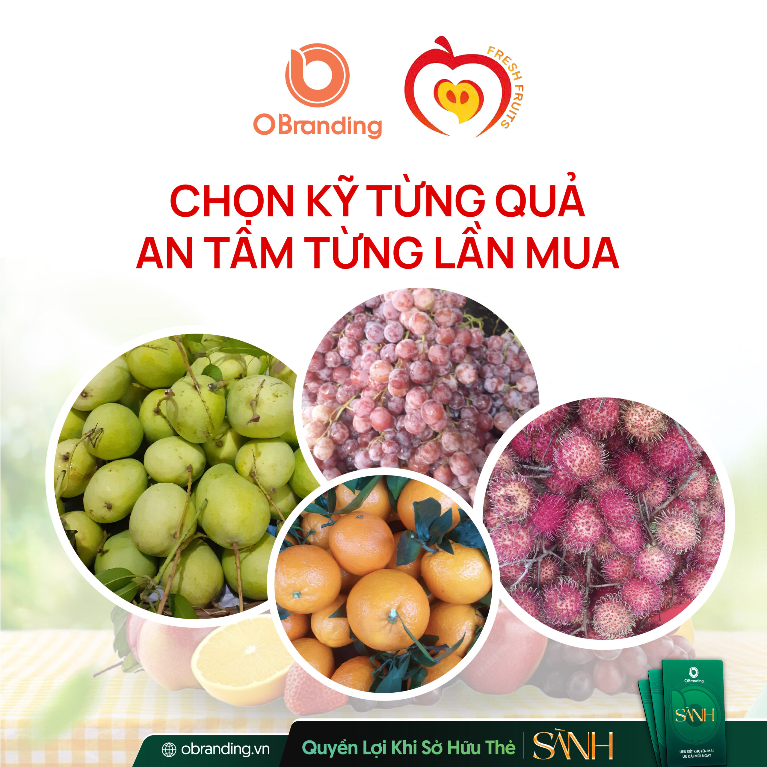 Cô Hiệp Trái Cây