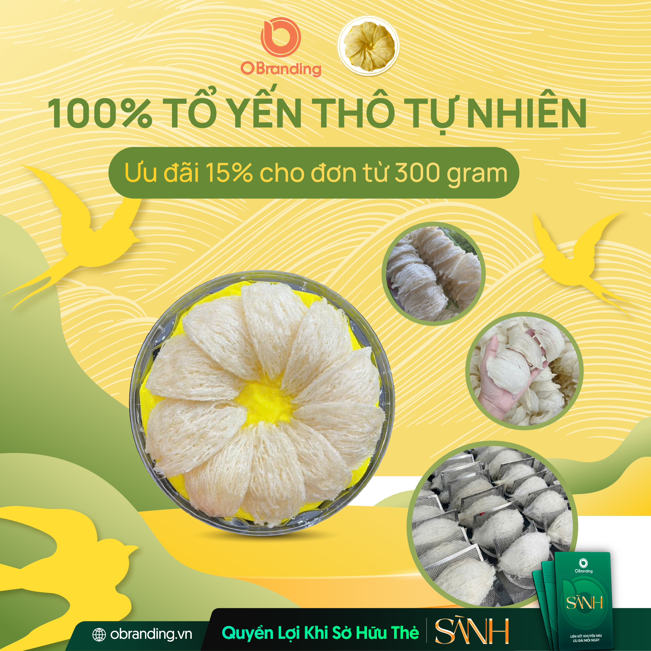 yến thô Ngọc Bến