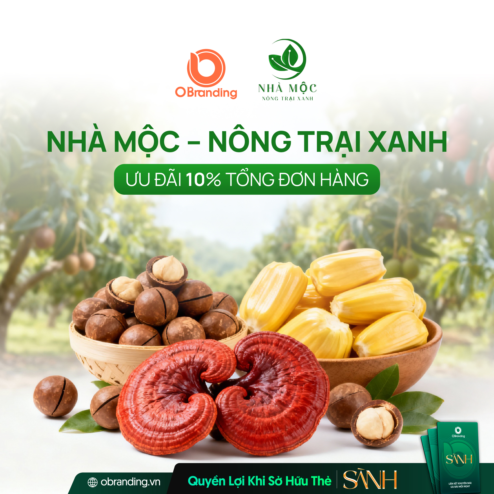 Ưu Đãi Dành Riêng Cho Hội Viên Thẻ Sành