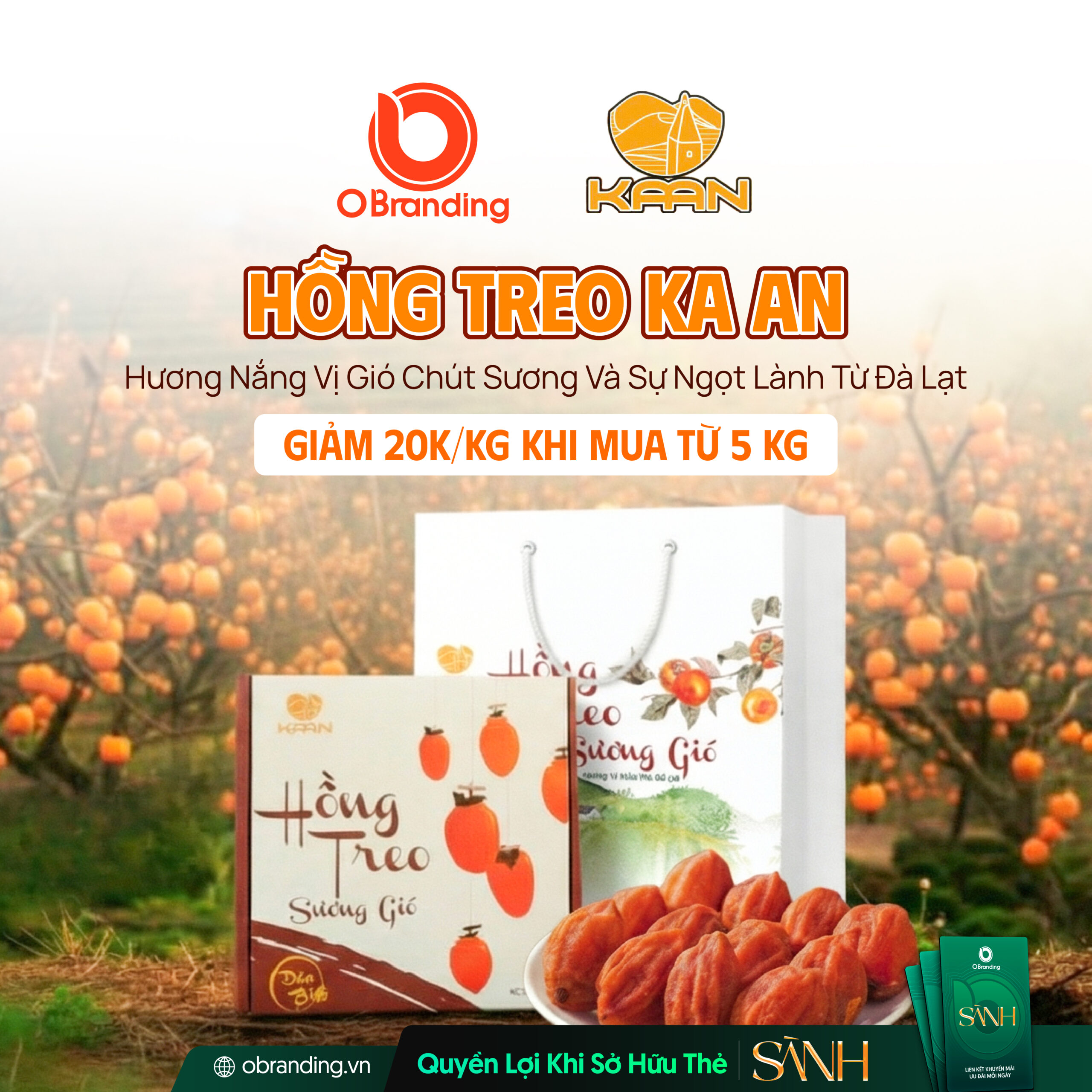 hồng treo gió Ka An