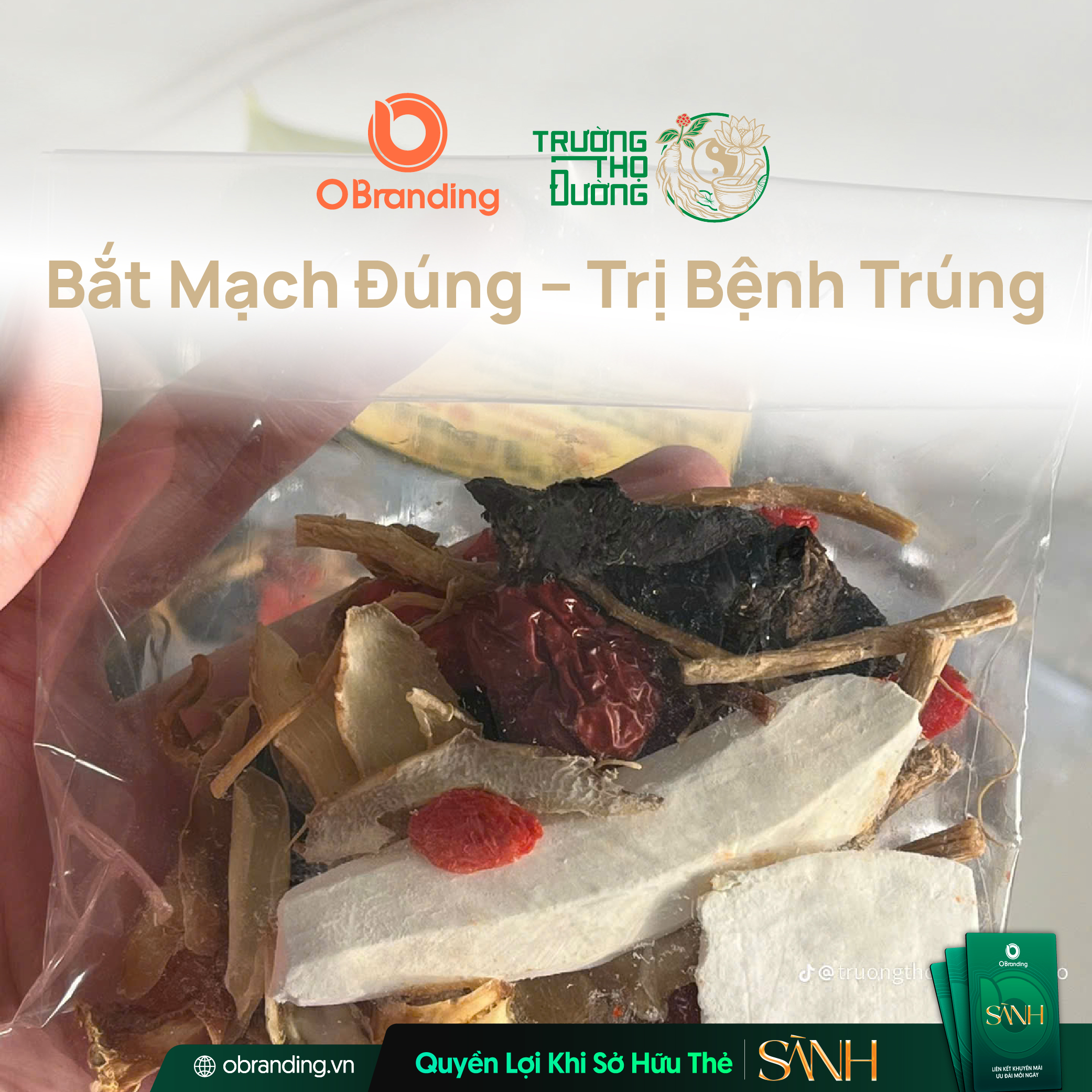 Trường Thọ Đường