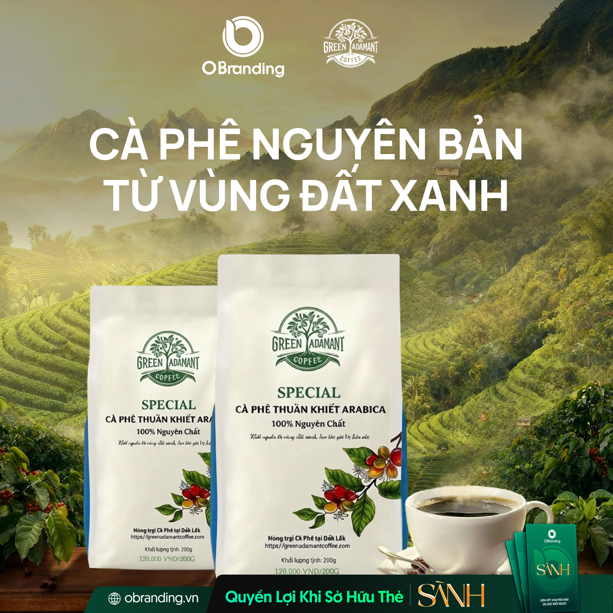 Green Adamant Coffee