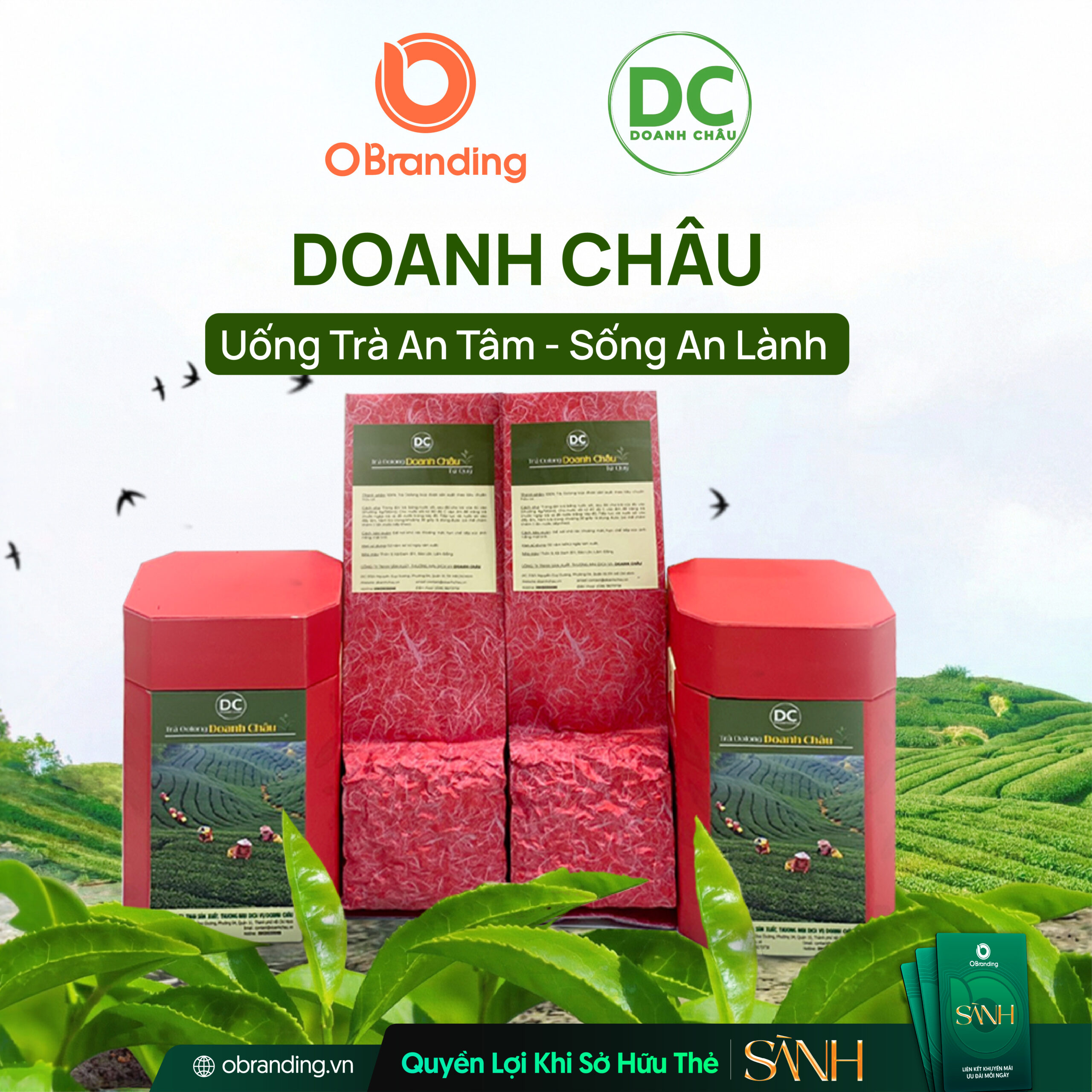 Trà Oolong Doanh Châu