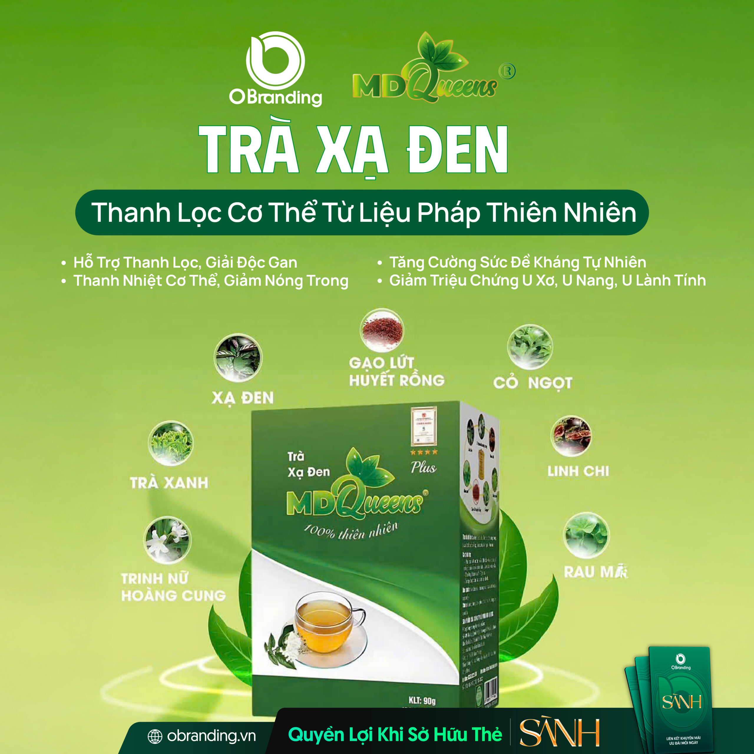 Trà Xạ Đen MDQueens