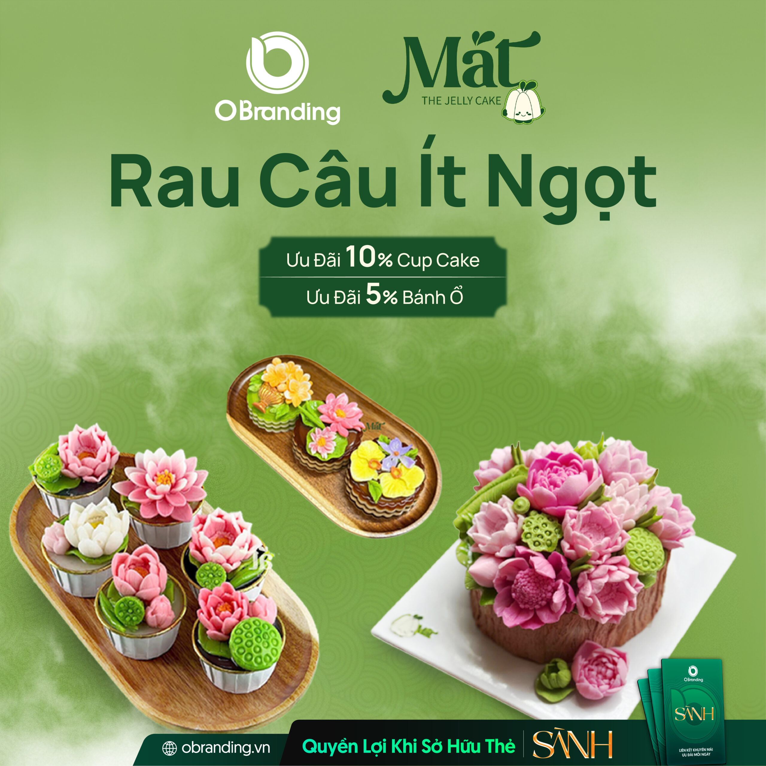 MÁT - THE JELLY CAKE