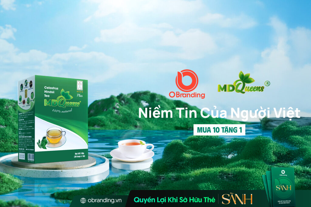 Trà Xạ Đen MDQueens – Hành Trình Thanh Lọc Từ Thiên Nhiên