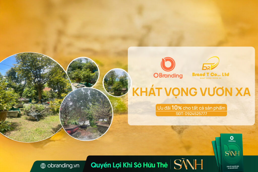 Brand T Việt Nam – Nâng Tầm Giá Trị Mai Việt Và Lan Tỏa Vẻ Đẹp Truyền Thống