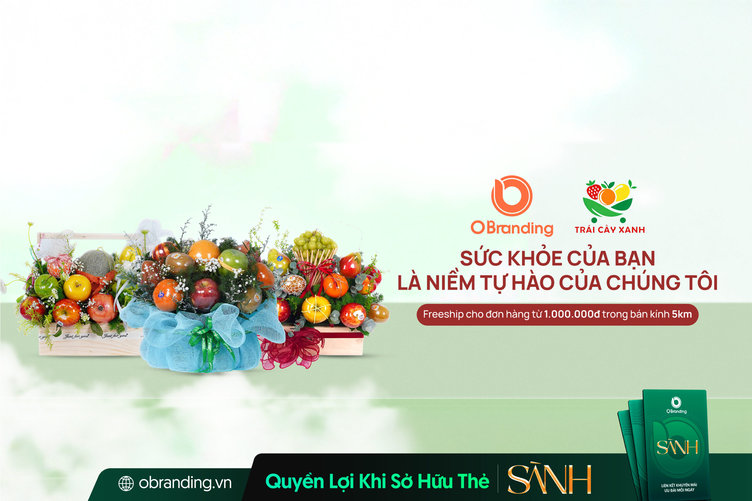 CÔNG TY TNHH TRÁI CÂY XANH – Giỏ Trái Cây Cao Cấp, Trái Cây Tươi Ngon Tại Cần Thơ