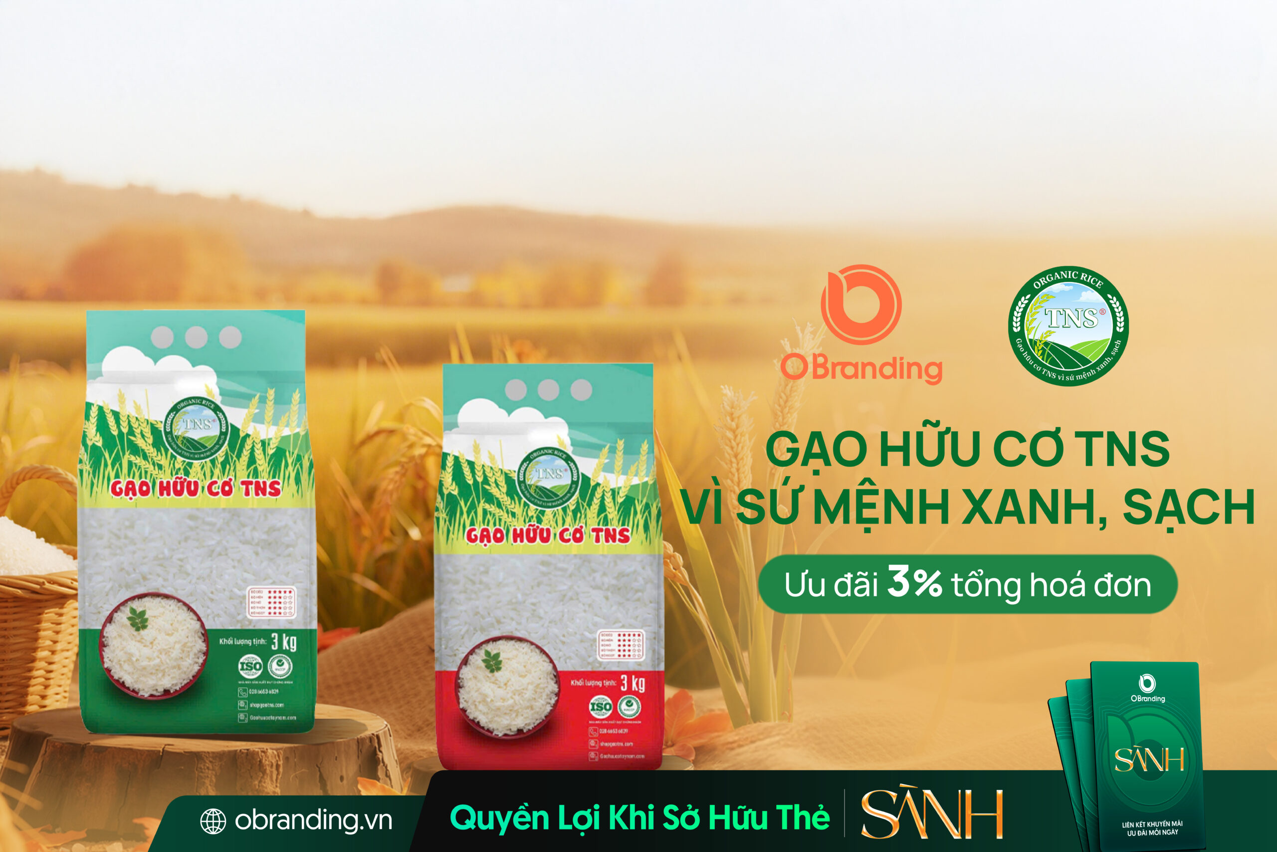 Gạo Hữu Cơ TNS – Lựa Chọn Sạch Cho Bữa Cơm An Lành Mỗi Ngày