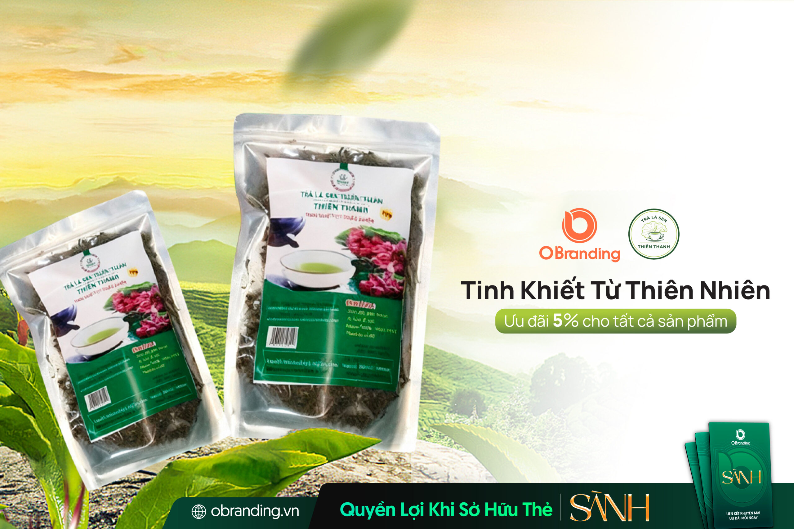 Trà Sen Thiên Thanh – Đánh Thức Sự An Yên Từ Thiên Nhiên