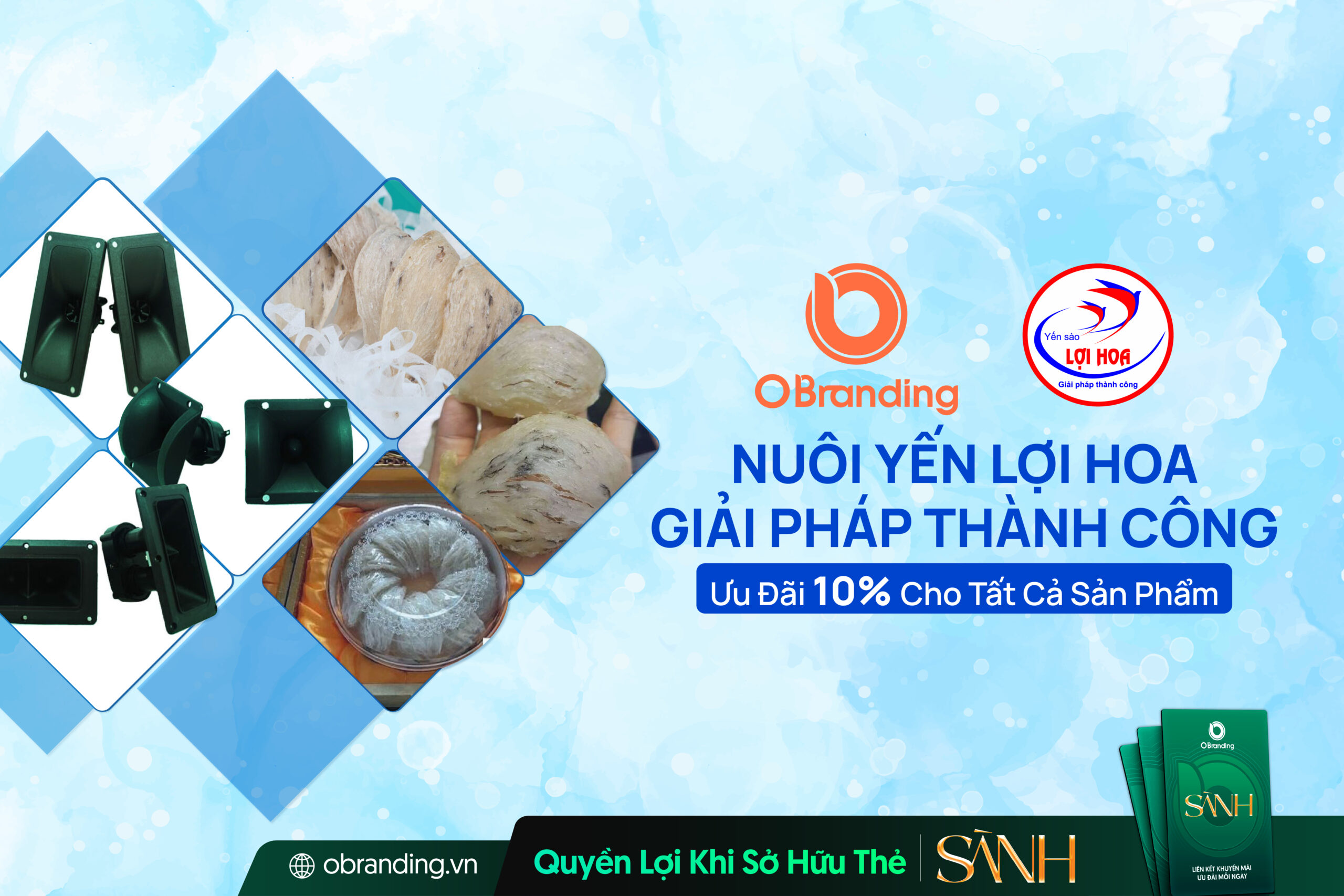 Công Ty TNHH Yến Sào Lợi Hoa – Giải Pháp Kỹ Thuật Và Cung Cấp Yến Sào