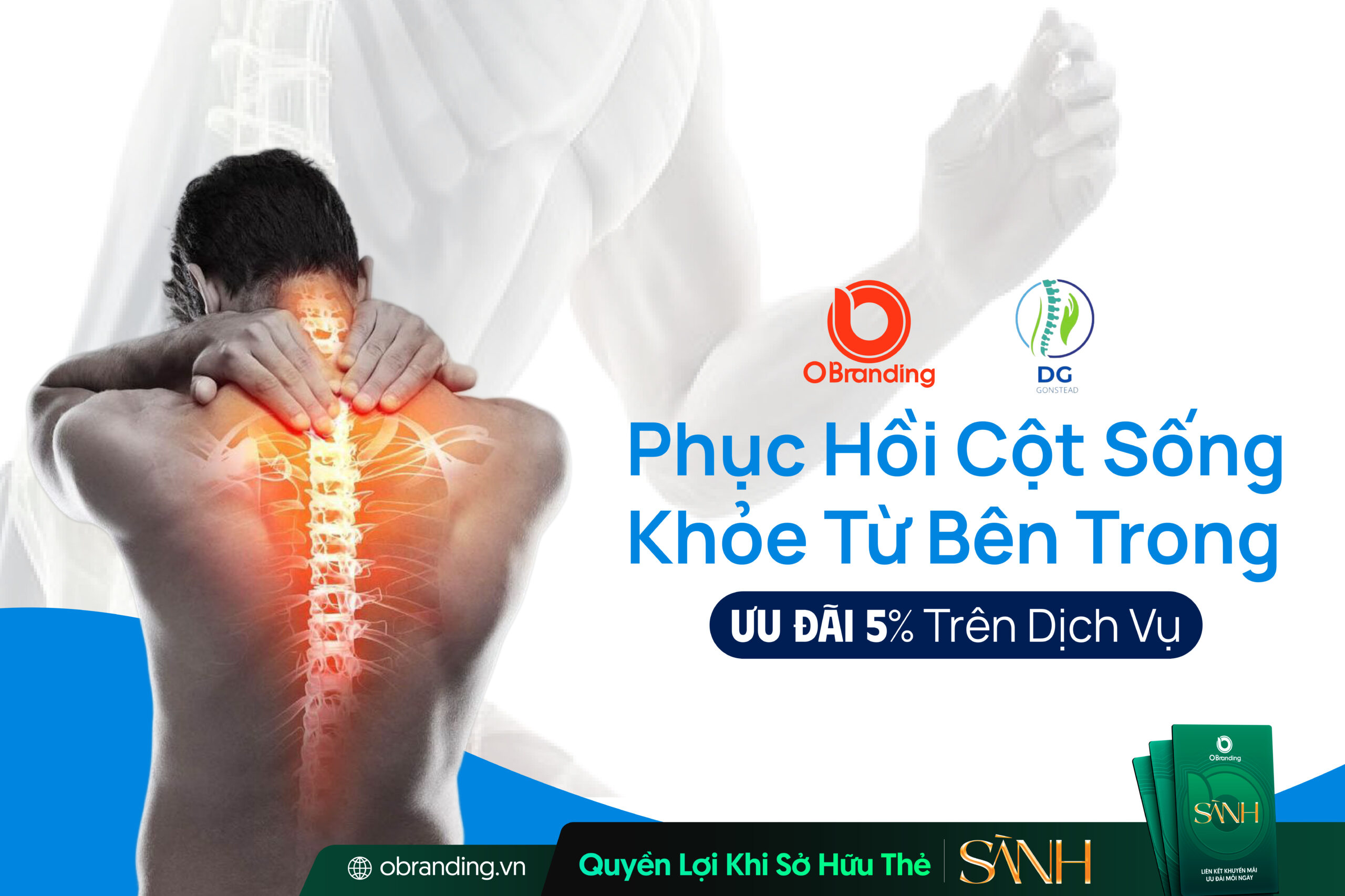 Công Ty TNHH DG Gonstead Đà Lạt – Kiến Tạo Nền Tảng Sức Khỏe Từ Cột Sống