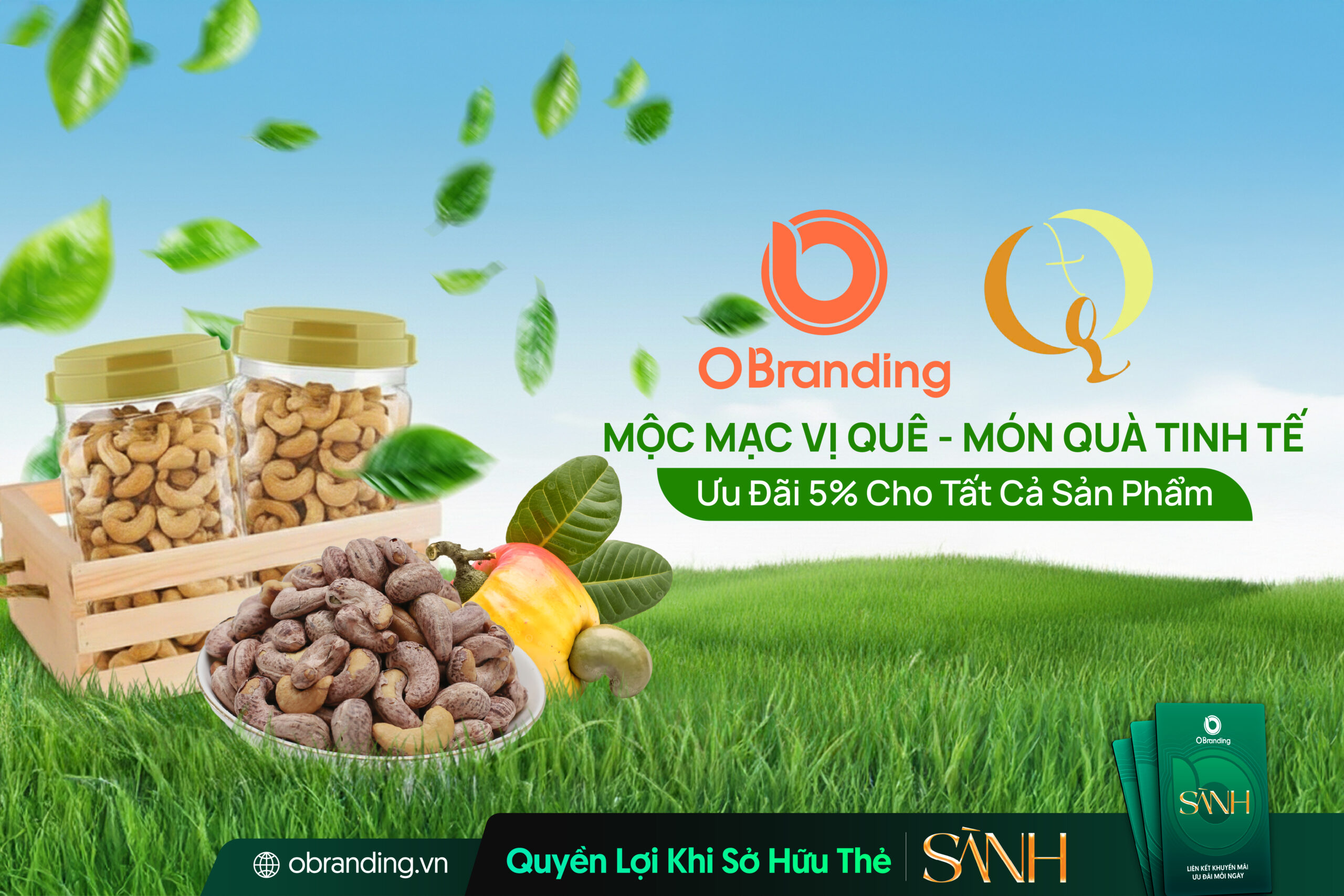 Công Ty TNHH SX – TM – DV Đức Liêm – Đơn Vị Phân Phối Hạt Điều Chất Lượng