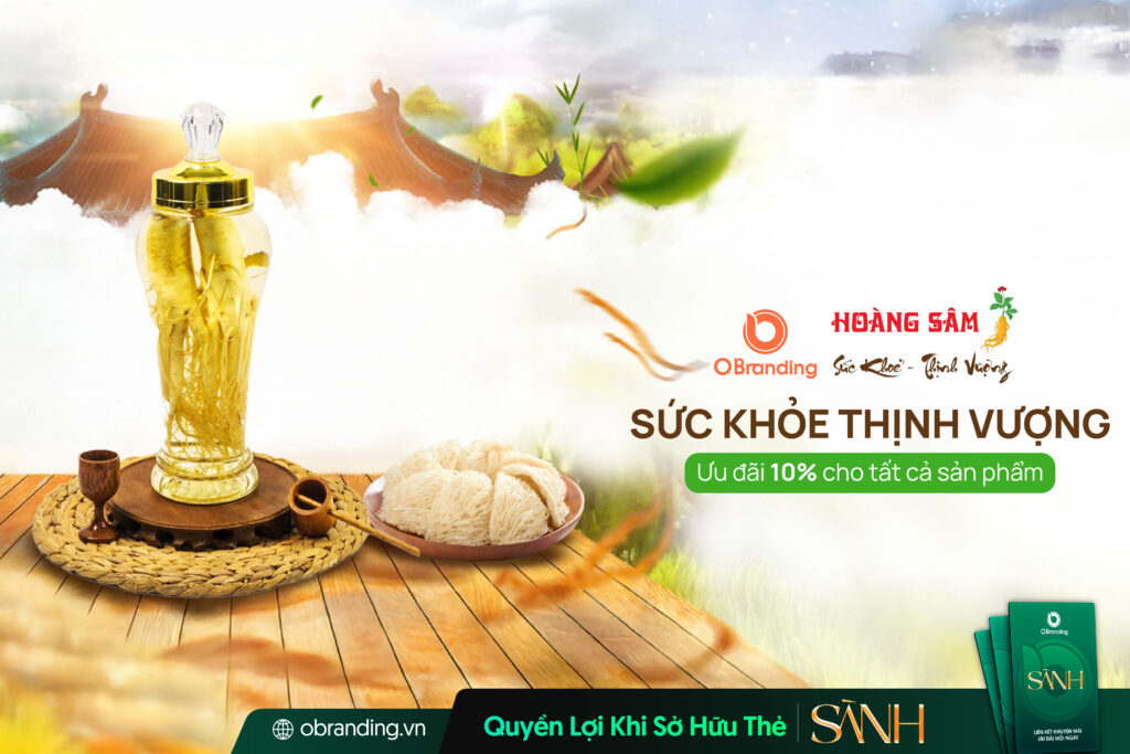 Công Ty TNHH Hoàng Hải Giang – Hoàng Sâm Thượng Phẩm Bồi Bổ Sức Khỏe