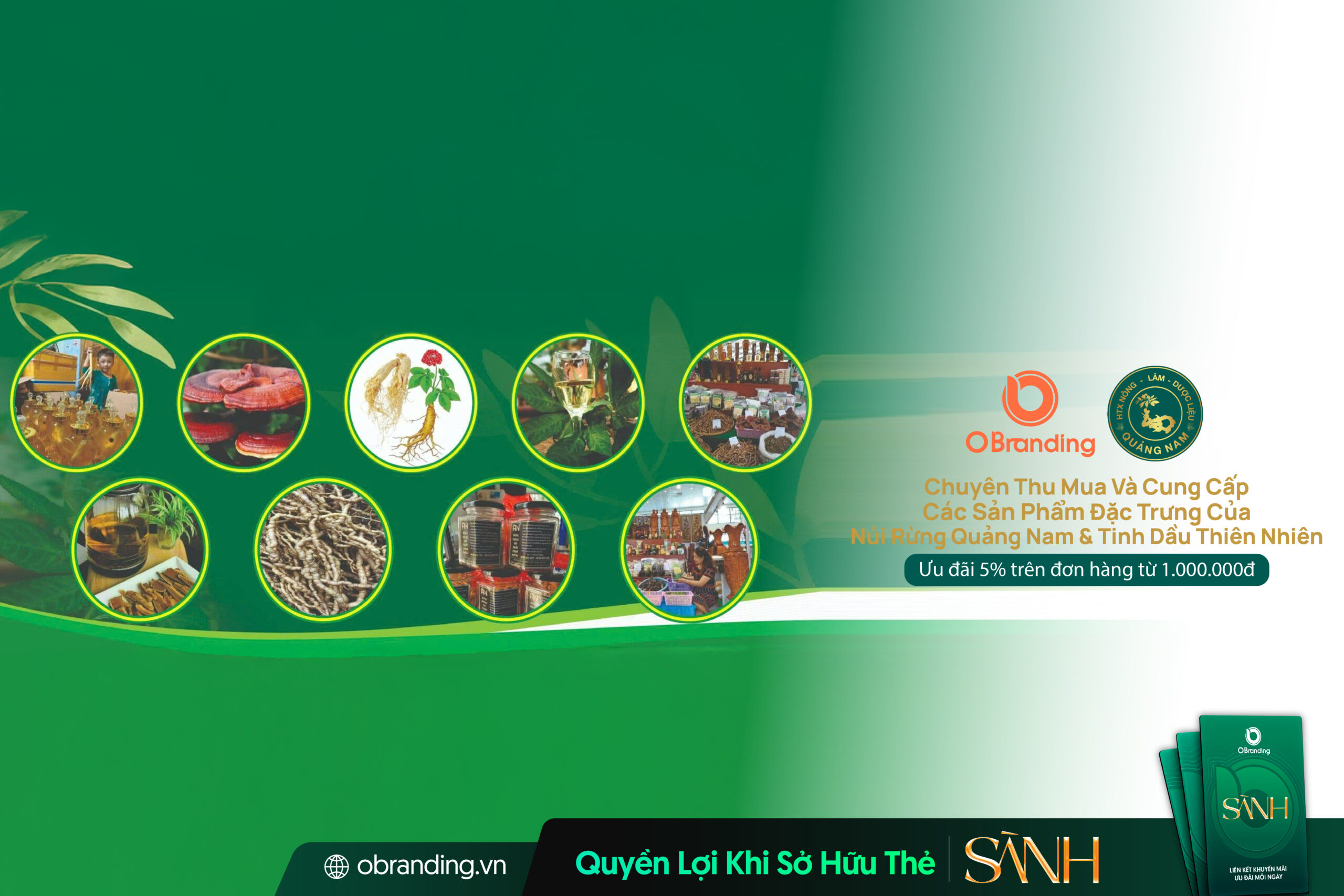 HTX Nông Lâm Dược Liệu Quảng Nam – Tinh Hoa Dược Liệu