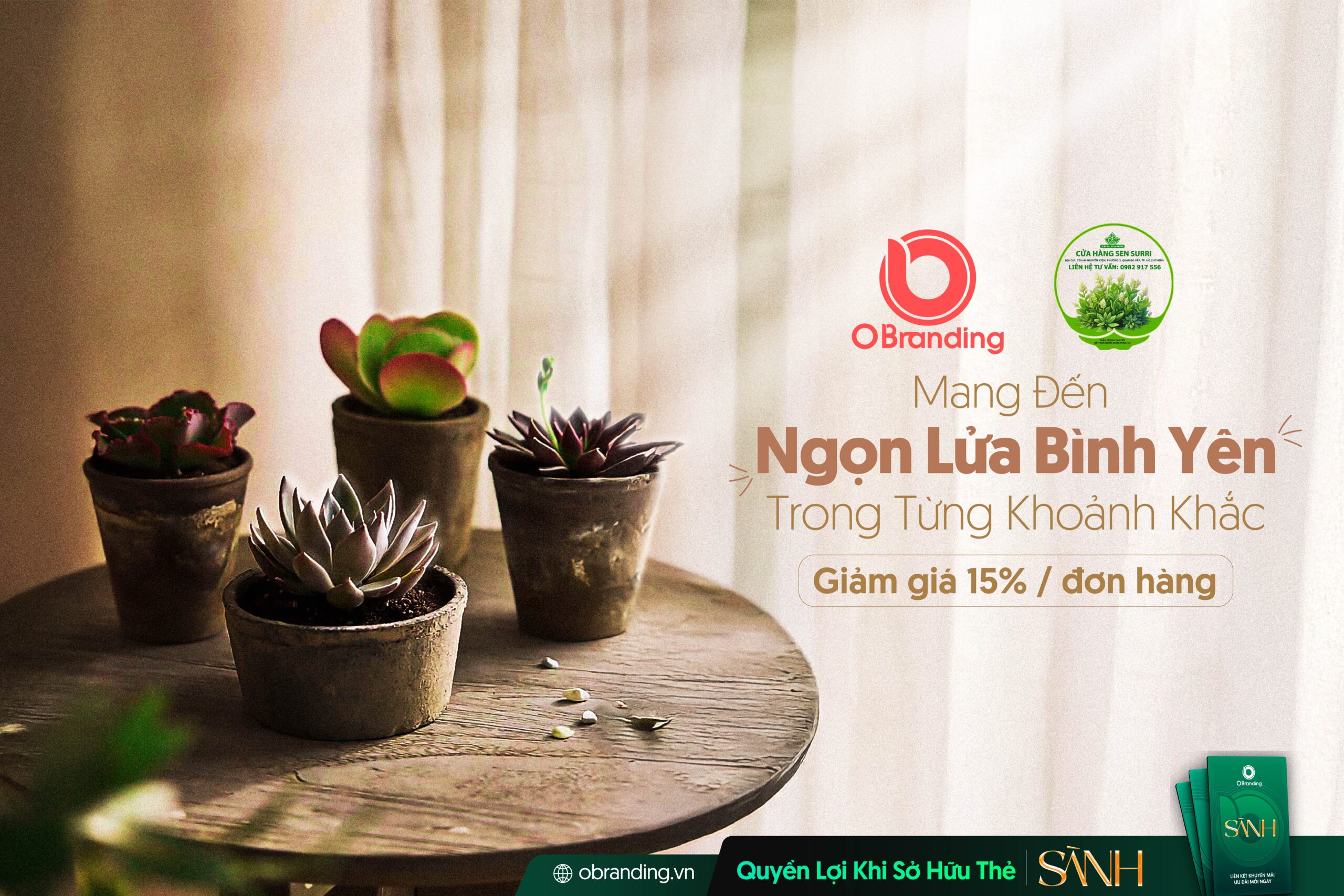 Flower Shop Sen Surri – Điểm Đến Tin Cậy Tại Gò Vấp Với Sản Phẩm Thiên Nhiên Chất Lượng Cao