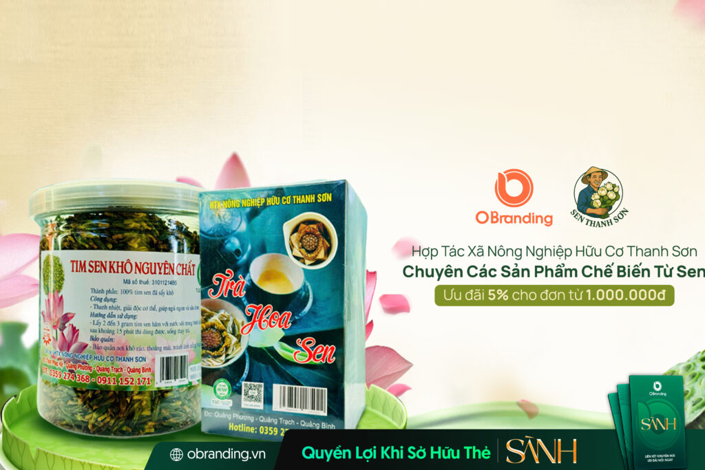 Hợp Tác Xã Thanh Sơn – Tinh Hoa Sen Hữu Cơ Quảng Bình