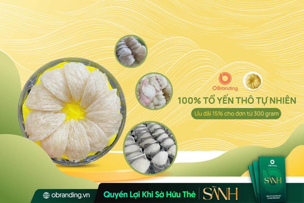 Yến Thô Ngọc Bến – Tinh Hoa Yến Sào Nguyên Bản 100% Tự Nhiên