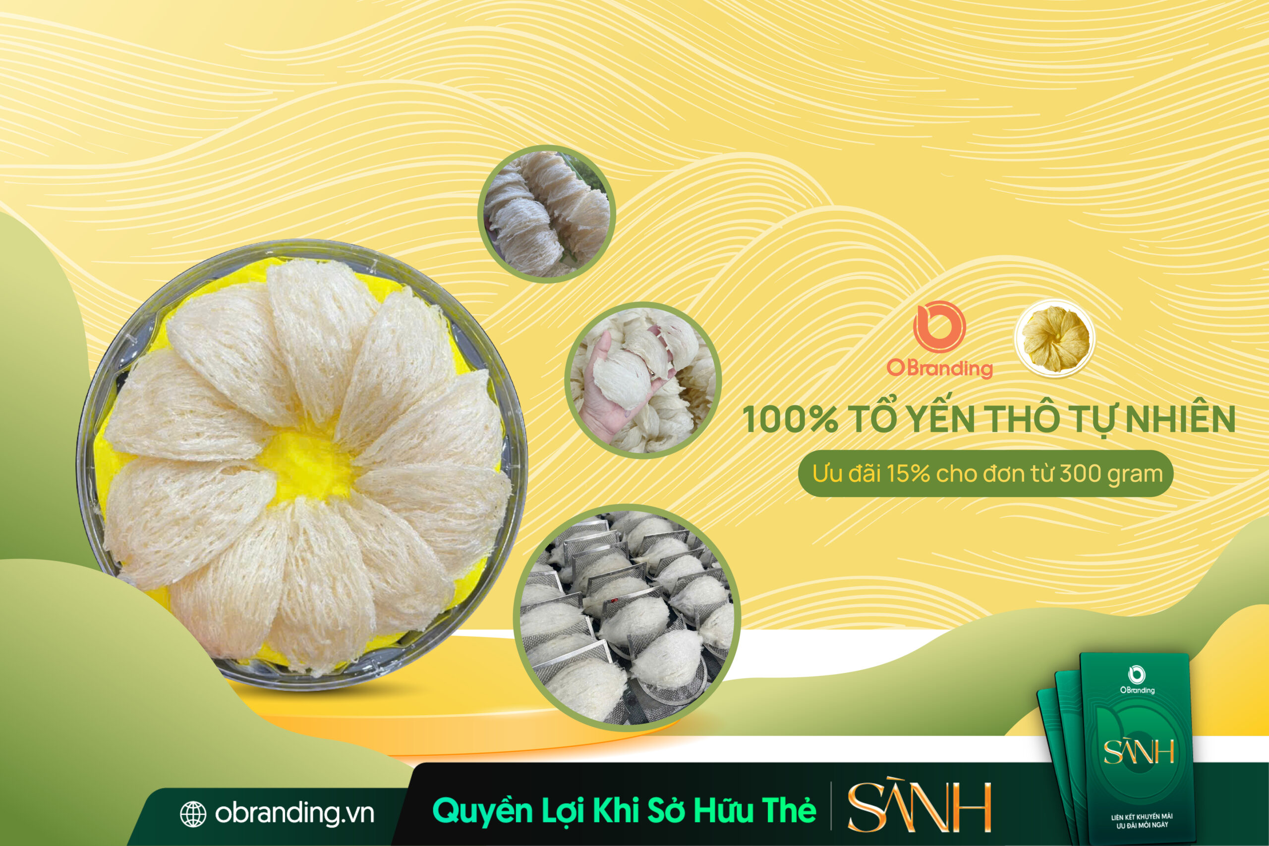 Yến Thô Ngọc Bến – Tinh Hoa Yến Sào Nguyên Bản 100% Tự Nhiên