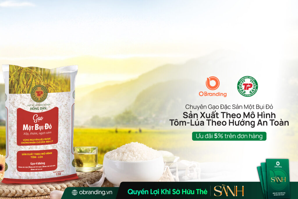 Hợp Tác Xã Nông Nghiệp Hồng Dân – Gạo Đặc Sản Một Bụi Đỏ Sạch Từ Mô Hình Tôm – Lúa