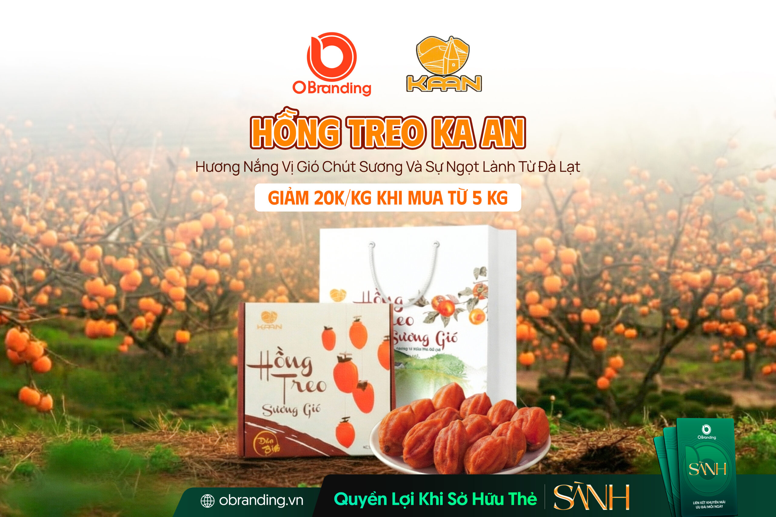 Hồng Treo Gió Ka An – Vị Ngọt Lành Từ Cao Nguyên Đà Lạt