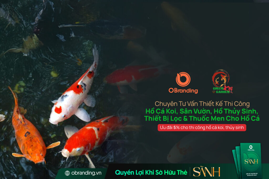 Sinh Vật Cảnh Green Garden – Thiết Kế Hồ Cá Koi Và Không Gian Sân Vườn Chuyên Nghiệp