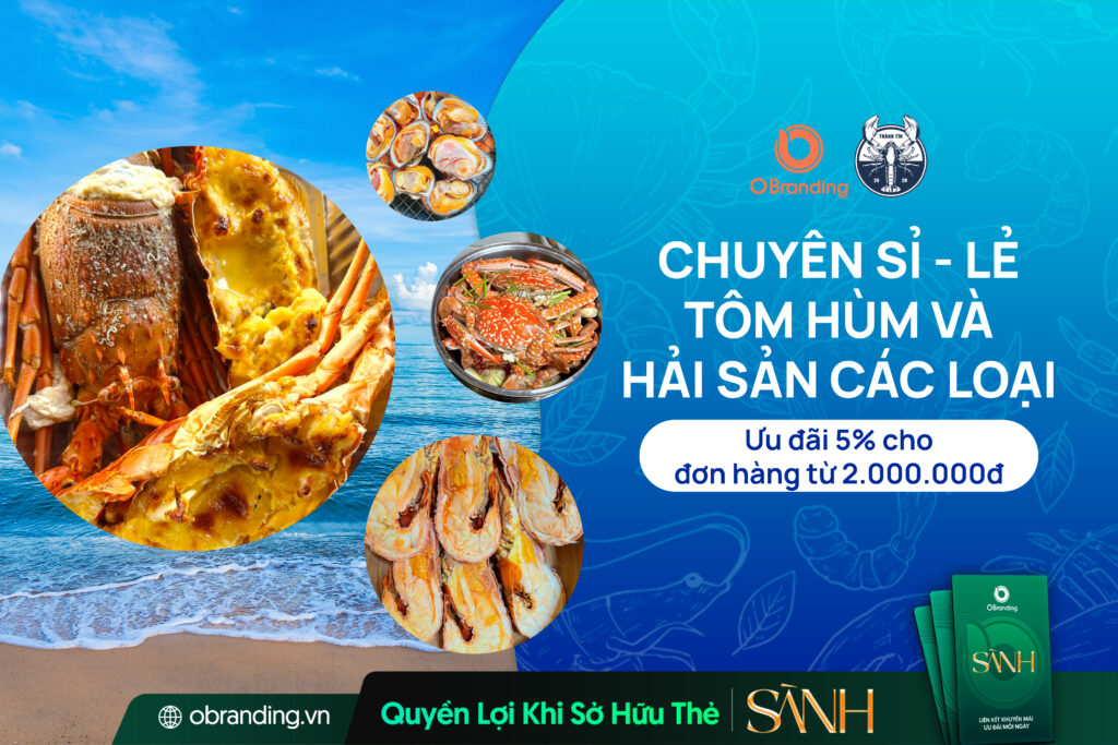 Hải Sản Thành Tín – Thiên Đường Tôm Hùm Và Đặc Sản Biển Tươi Sống