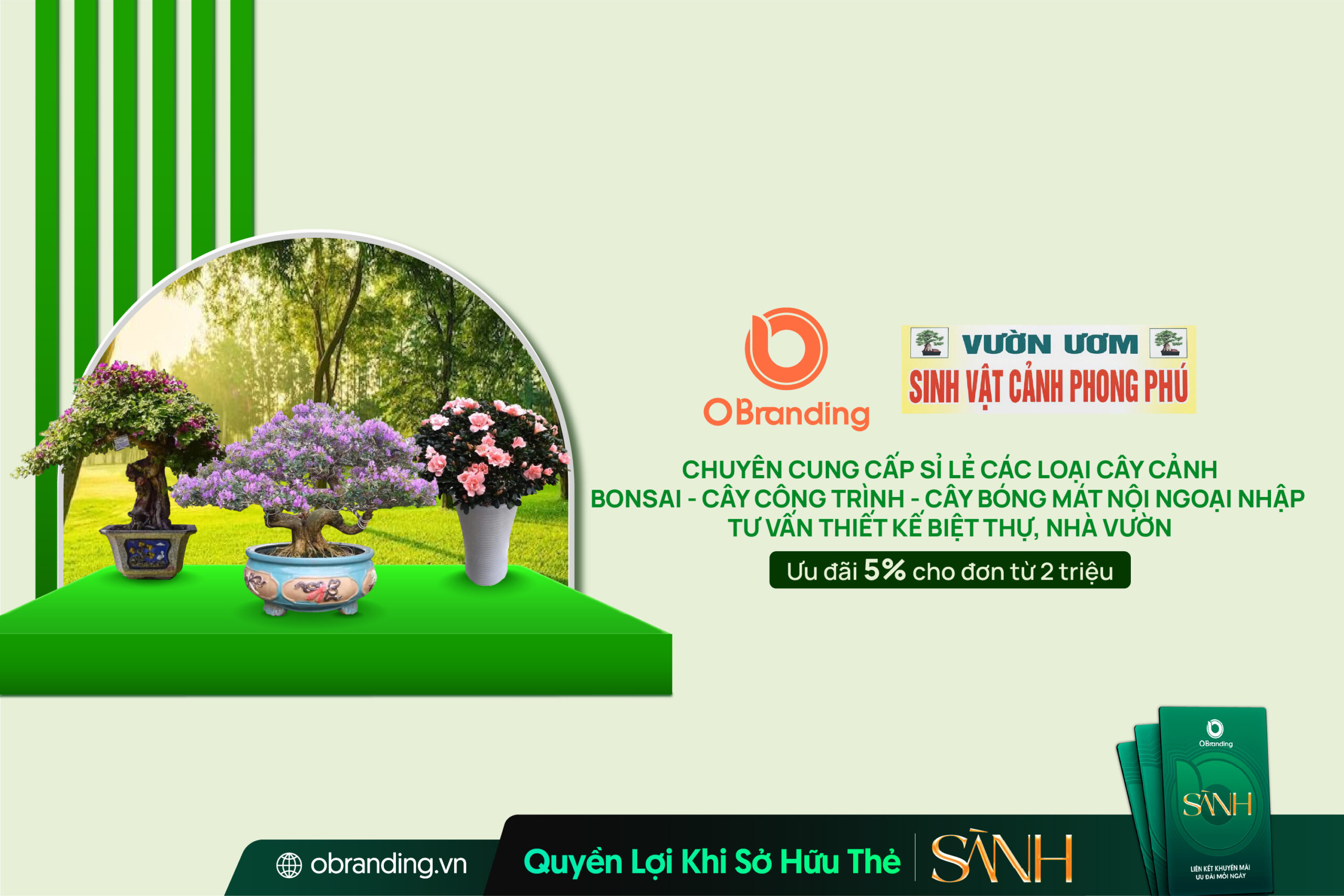 Sinh Vật Cảnh Phong Phú – Địa Chỉ Cung Cấp Cây Cảnh Và Thiết Kế Cảnh Quan Uy Tín Tại Quảng Ngãi