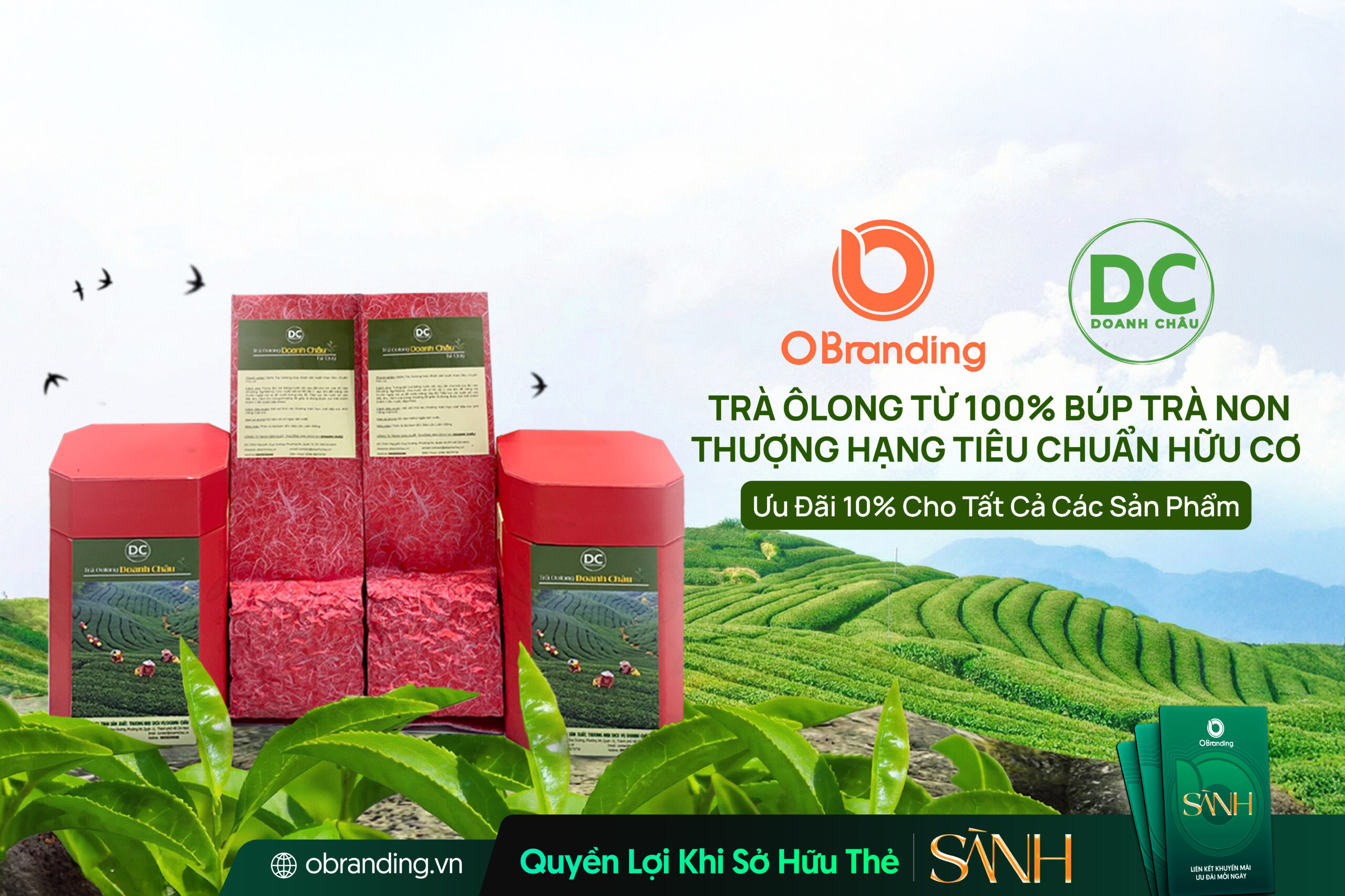 Doanh Châu – Trà Ôlong Cao Cấp Cho Sức Khỏe