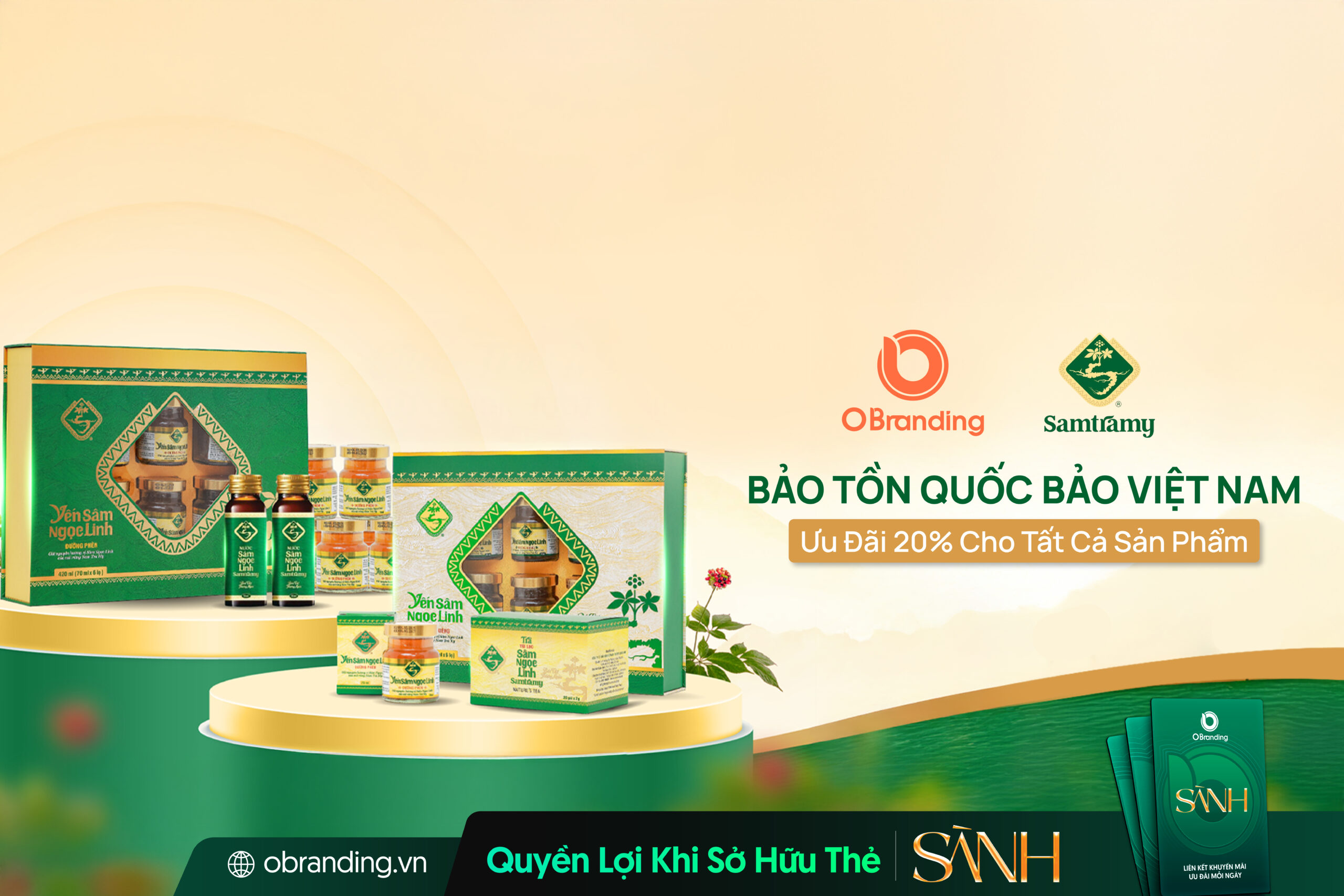 CÔNG TY CỔ PHẦN SÂM VIỆT NAM – TRÀ MY QUẢNG NAM – GIÁ TRỊ SÂM NGỌC LINH CHUẨN DƯỢC LIỆU