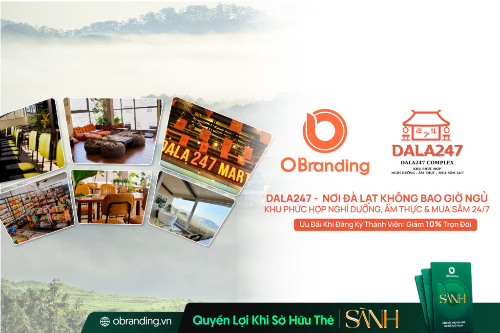 Khu Phức Hợp Dala247 (Dalha) – Nhịp Đập Sôi Động Giữa Lòng Thành Phố Ngàn Hoa