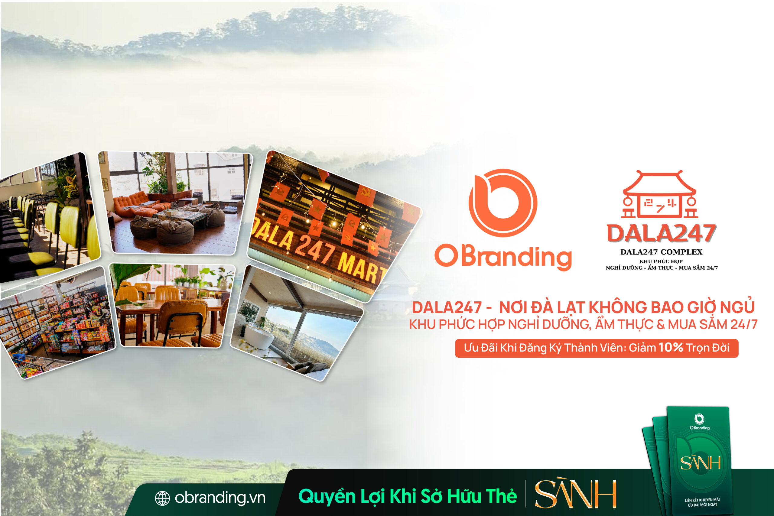 Khu Phức Hợp Dala247 (Dalha) – Nhịp Đập Sôi Động Giữa Lòng Thành Phố Ngàn Hoa