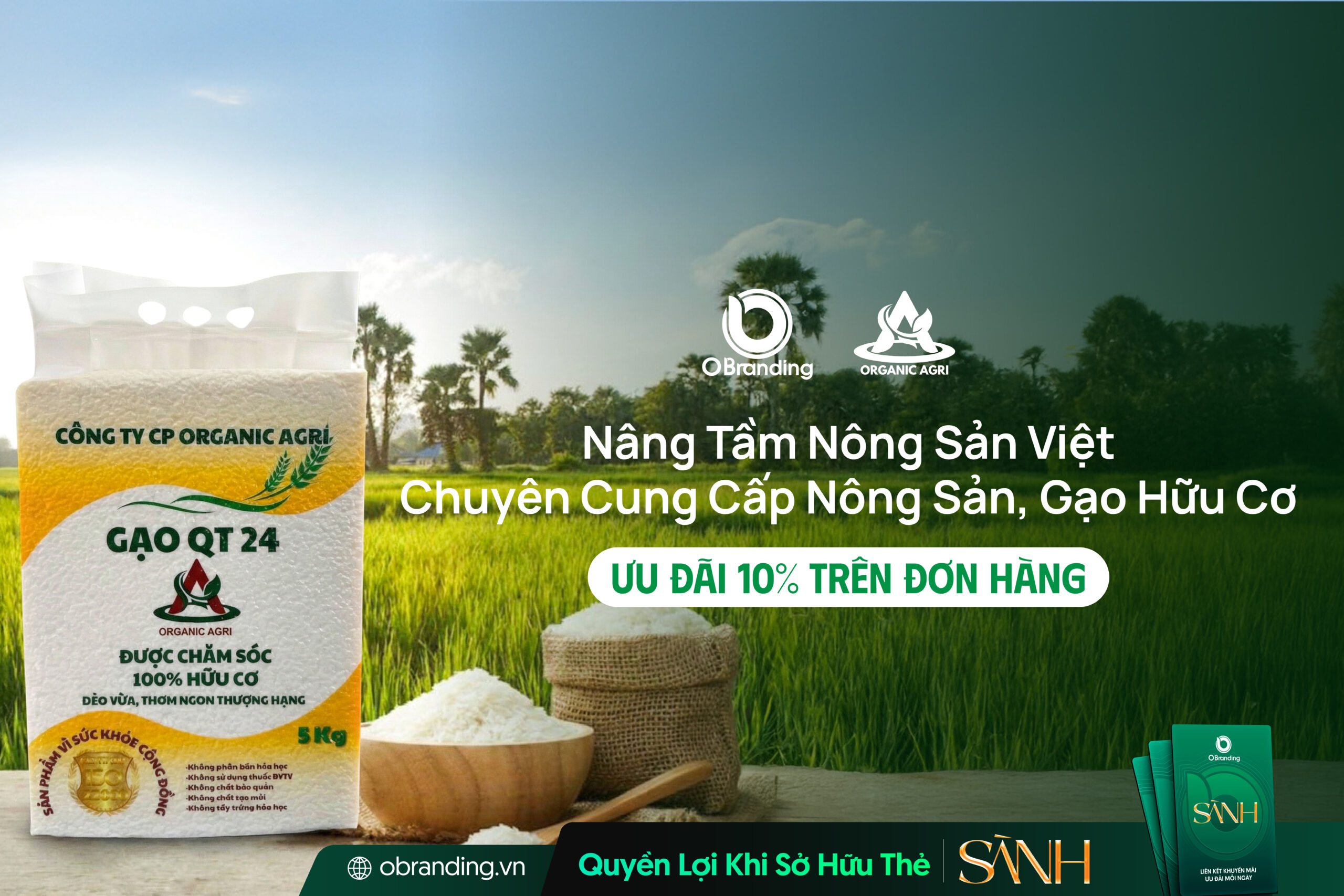 Công Ty CP Organic Agri – Gạo Hữu Cơ Và Nông Sản Sạch, Nâng Tầm Nông Sản Việt