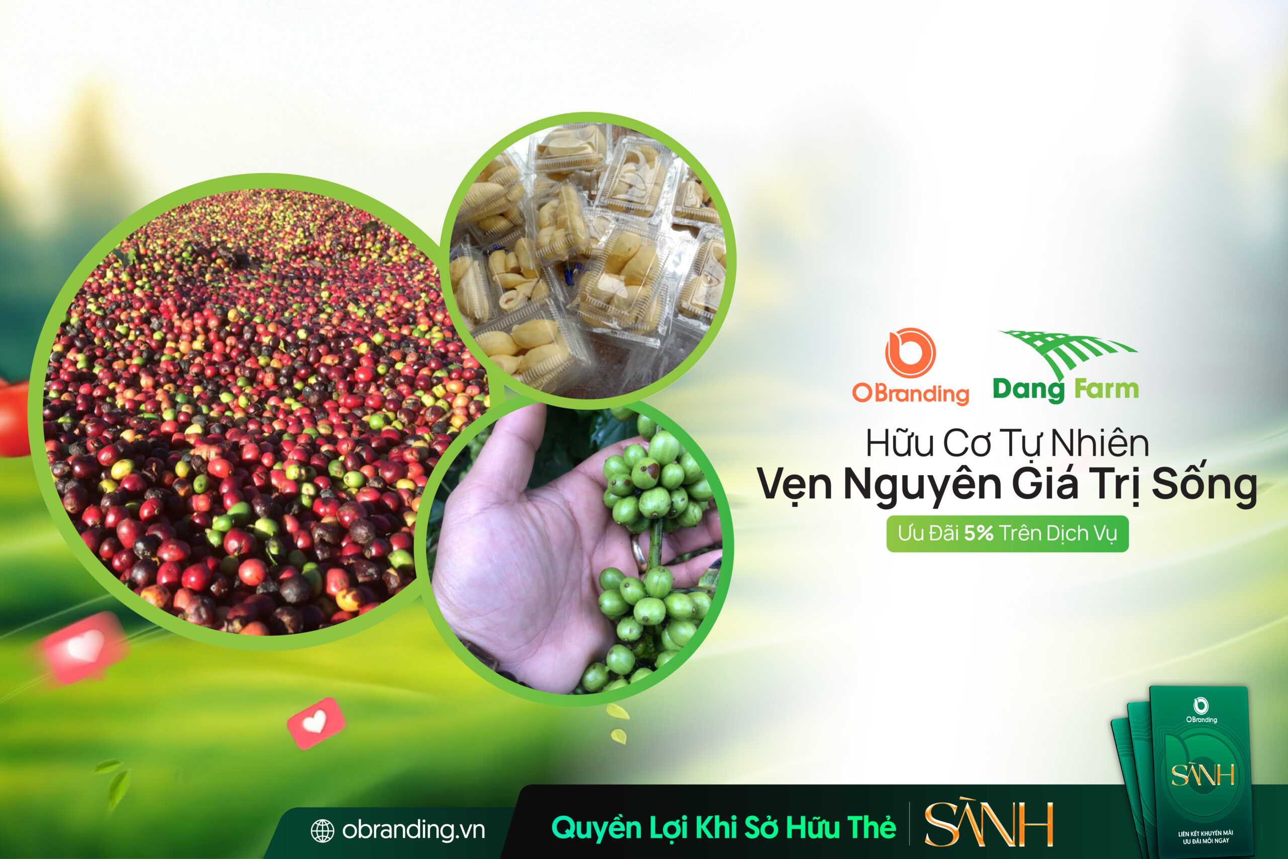 Nông Trại Dang Farm – Canh Tác Theo Hướng Hữu Cơ, Cải Tạo Đất Bền Vững Và Kiểm Soát Dịch Hại Sinh Học