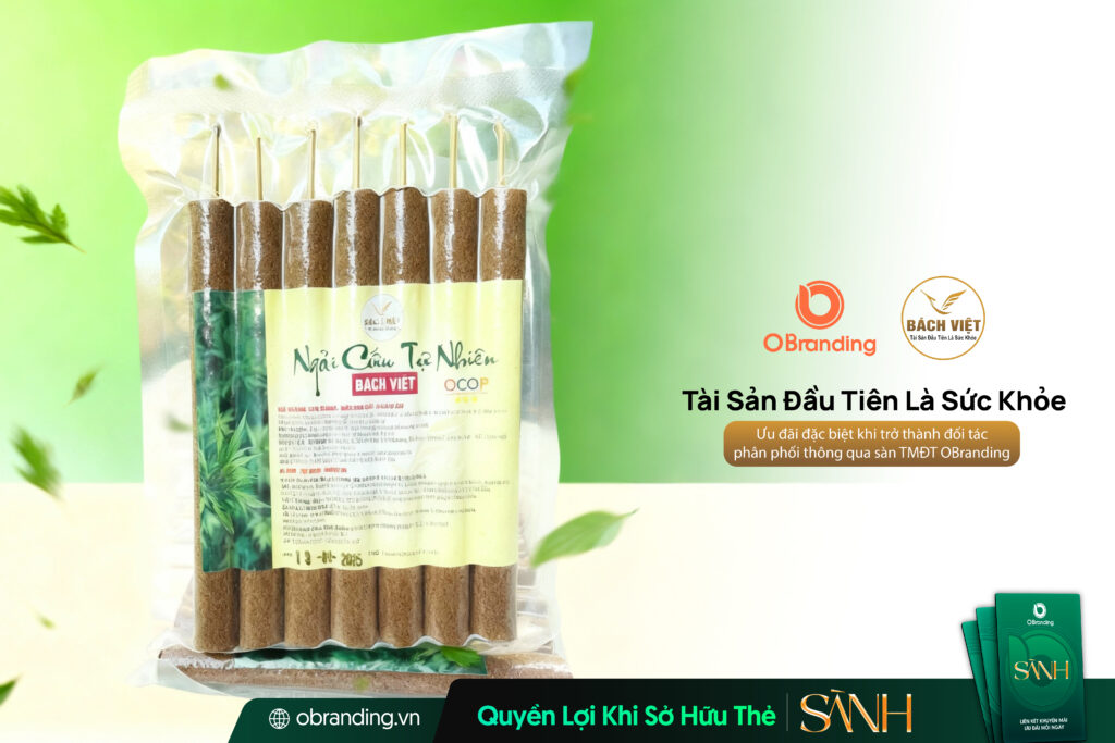 CÔNG TY TNHH SẢN XUẤT VÀ PHÁT TRIỂN BÁCH VIỆT – GIẢI PHÁP CHĂM SÓC SỨC KHỎE TỪ NGẢI CỨU