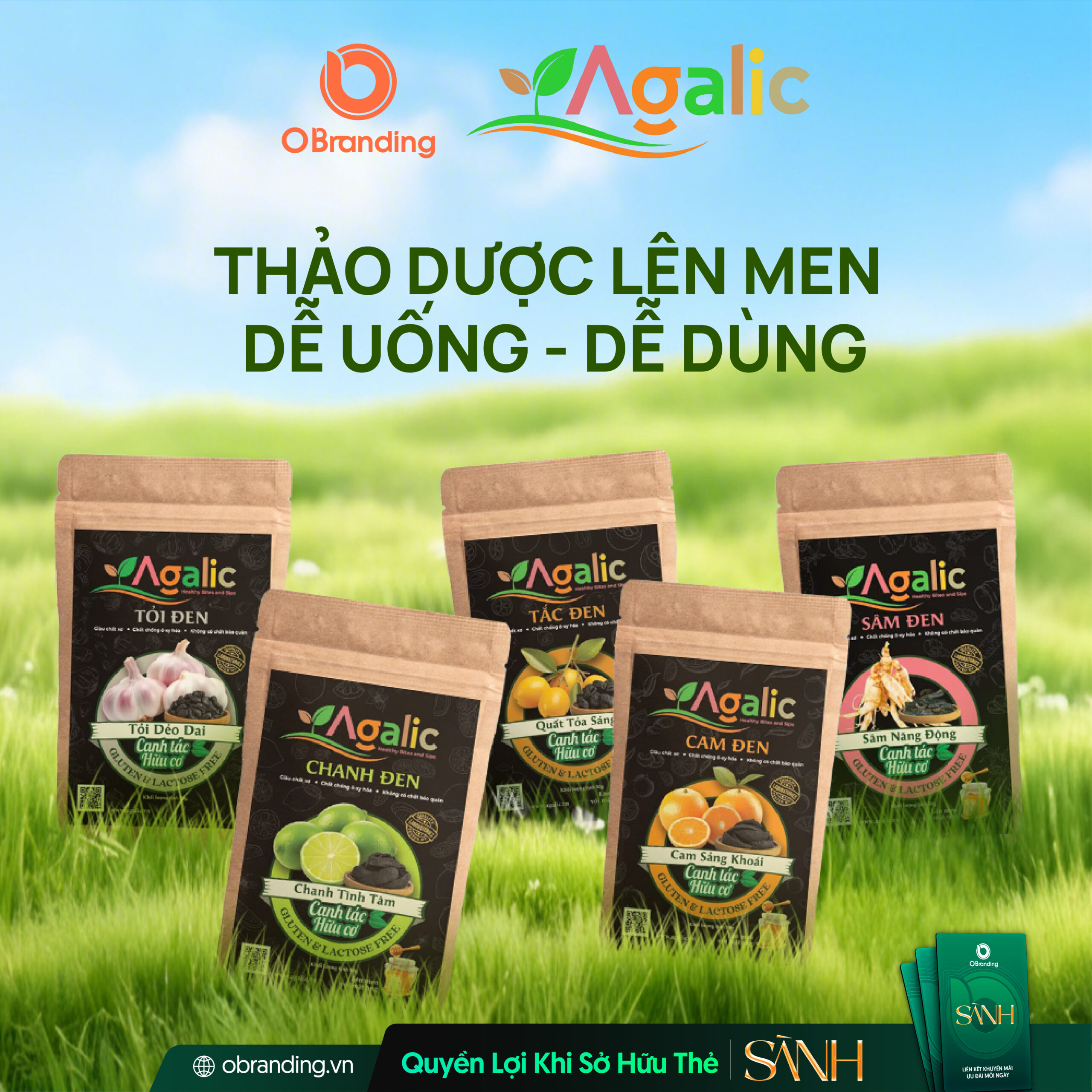 Hợp Tác Xã Thảo Dược Việt Nam