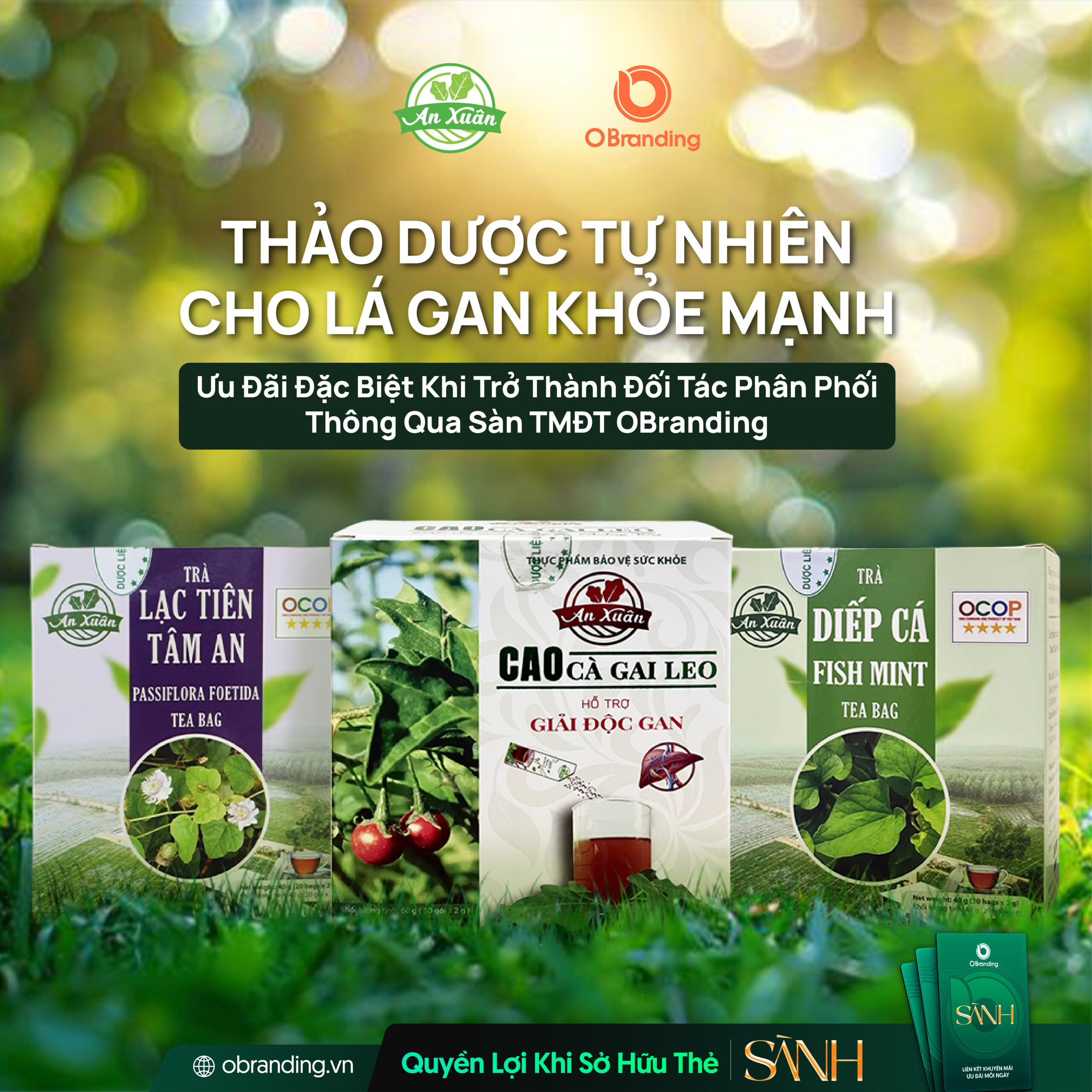 Ưu đãi độc quyền cho hội viên Thẻ Sành