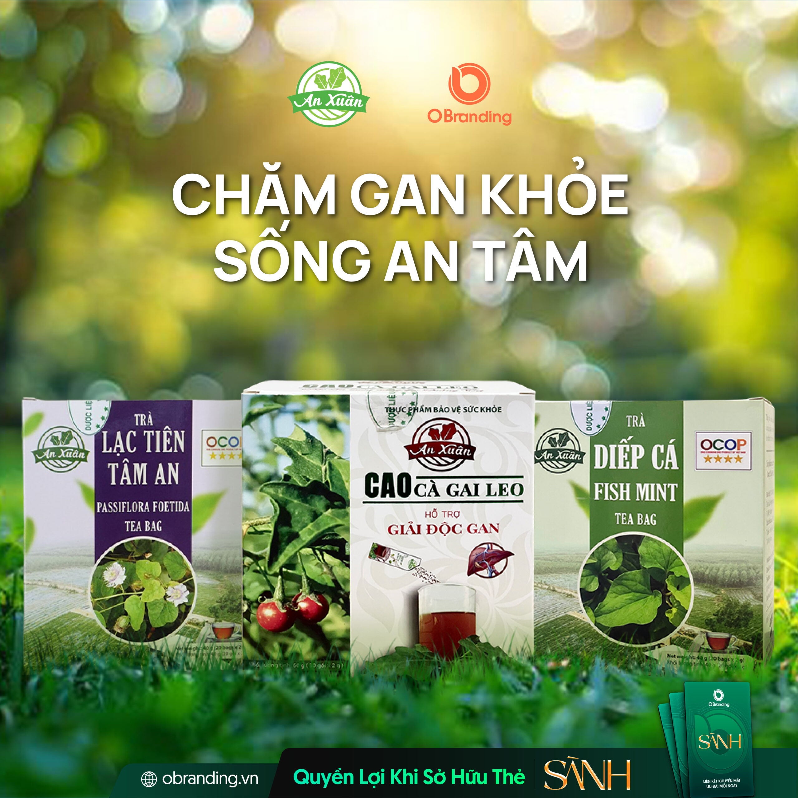 Công ty TNHH Dược liệu Hữu cơ An Xuân