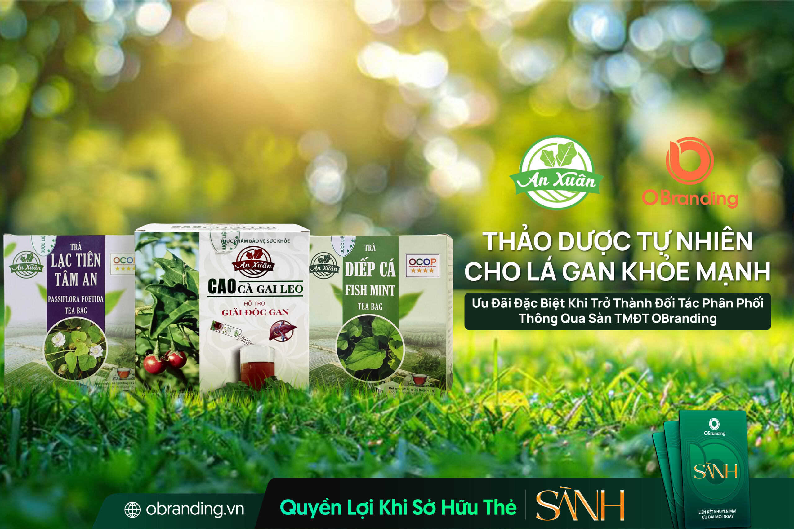 Công Ty TNHH Dược Liệu Hữu Cơ An Xuân – Thảo Dược Tự Nhiên Cho Lá Gan Khỏe Mạnh