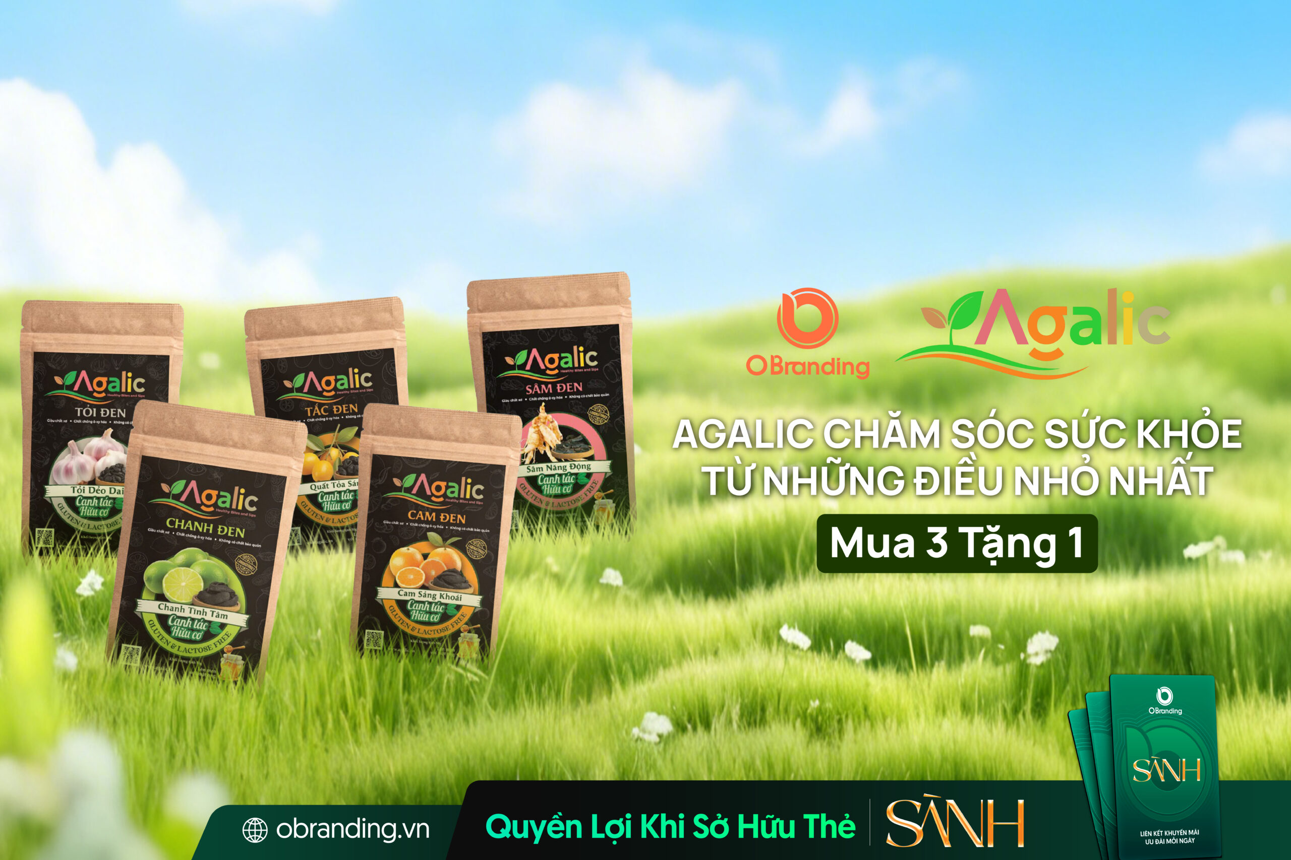 Hợp Tác Xã Thảo Dược Việt Nam – Định Hướng Thực Phẩm Tự Nhiên Từ Giá Trị Thảo Dược