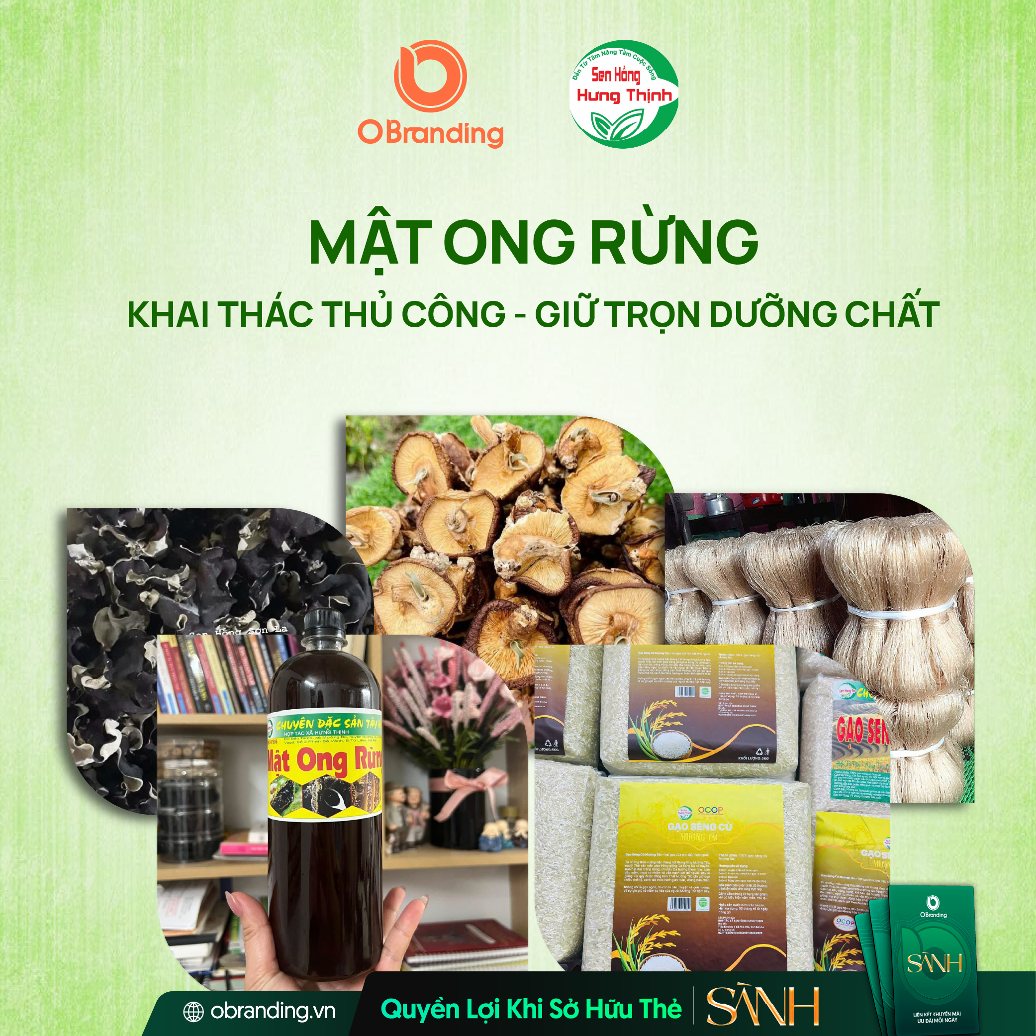 HỢP TÁC XÃ SEN HỒNG HƯNG THỊNH