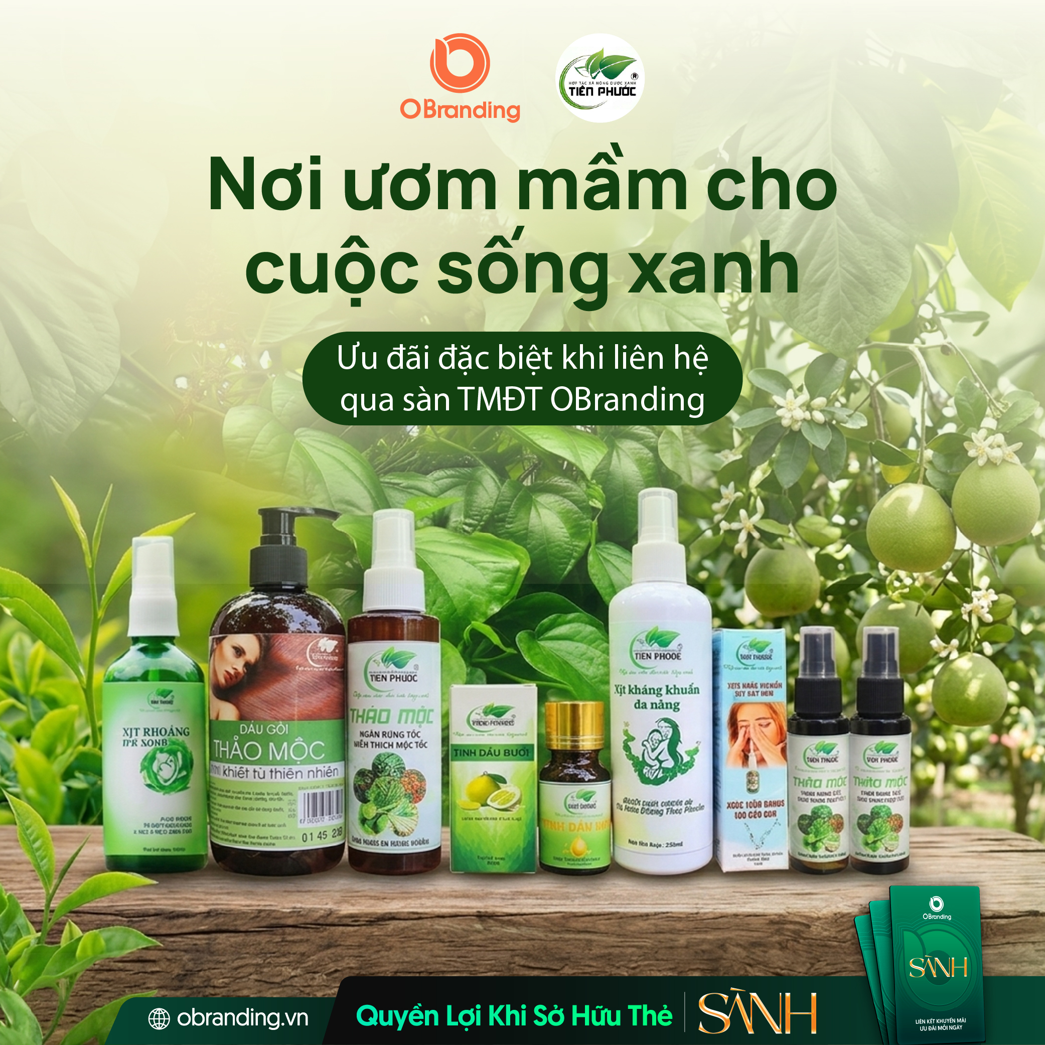 HỢP TÁC XÃ NÔNG NGHIỆP – DƯỢC LIỆU XANH TIÊN PHƯỚC