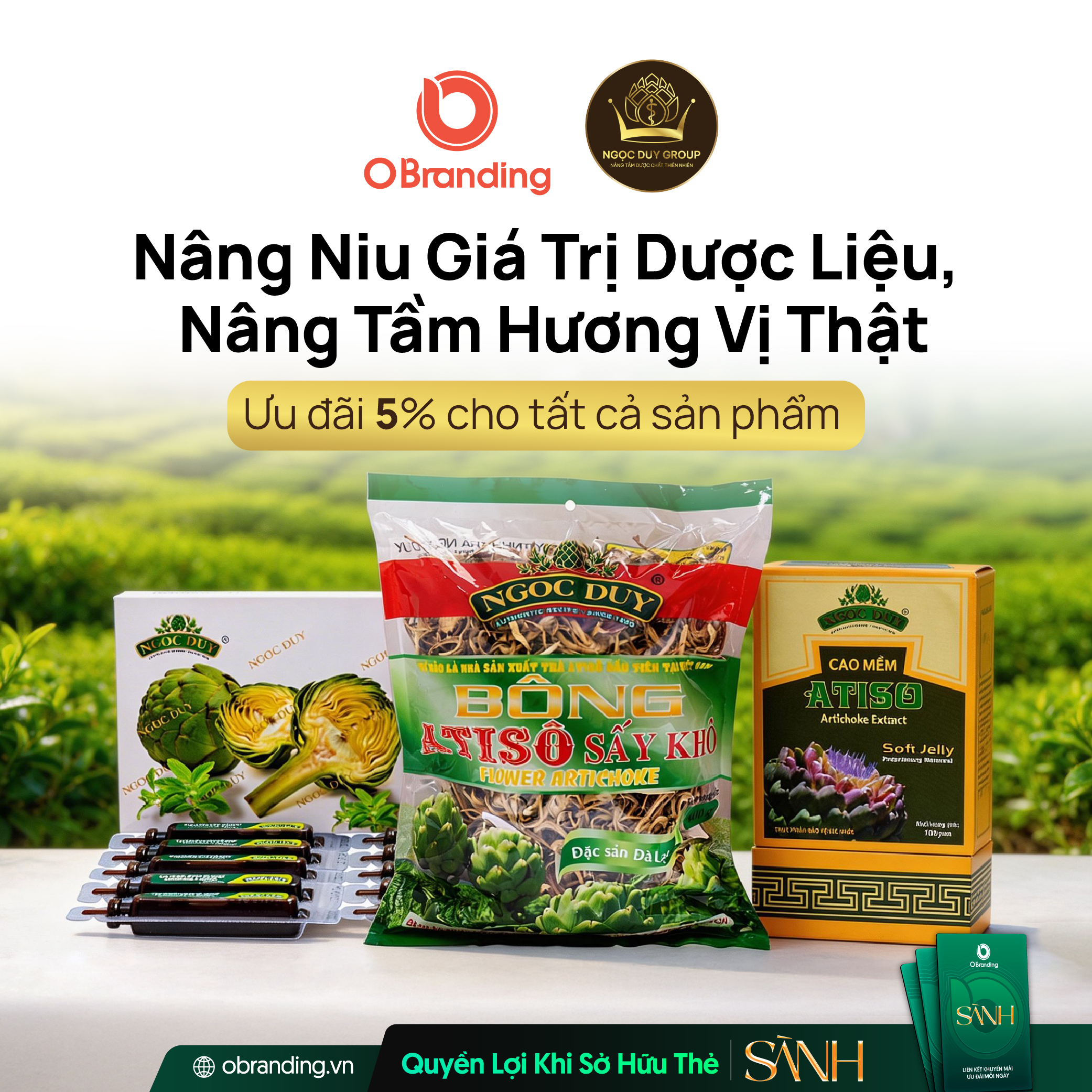 CÔNG TY TNHH TRÀ NGỌC DUY