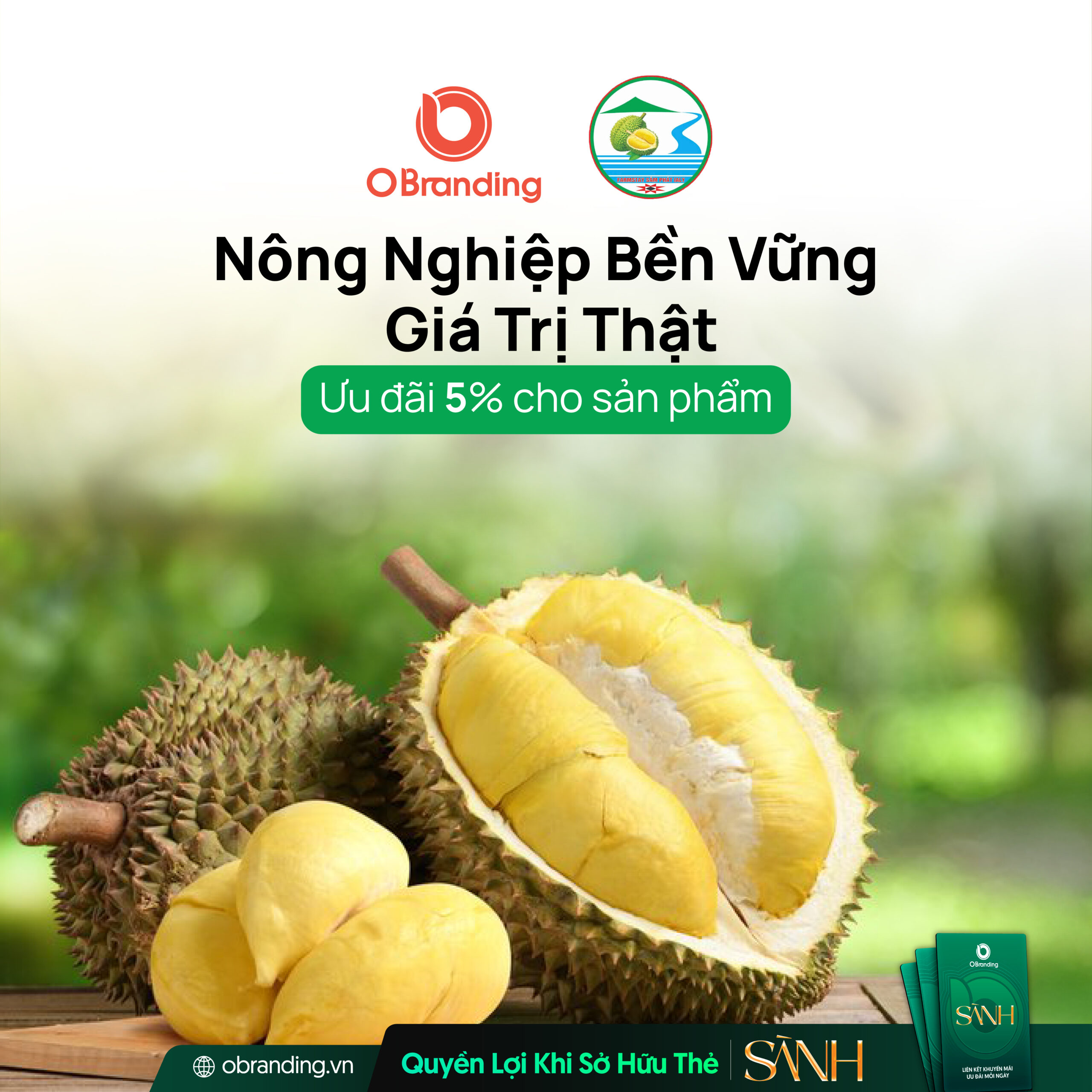 CÔNG TY TNHH FARMSTAY SÂM PHÁT IALY