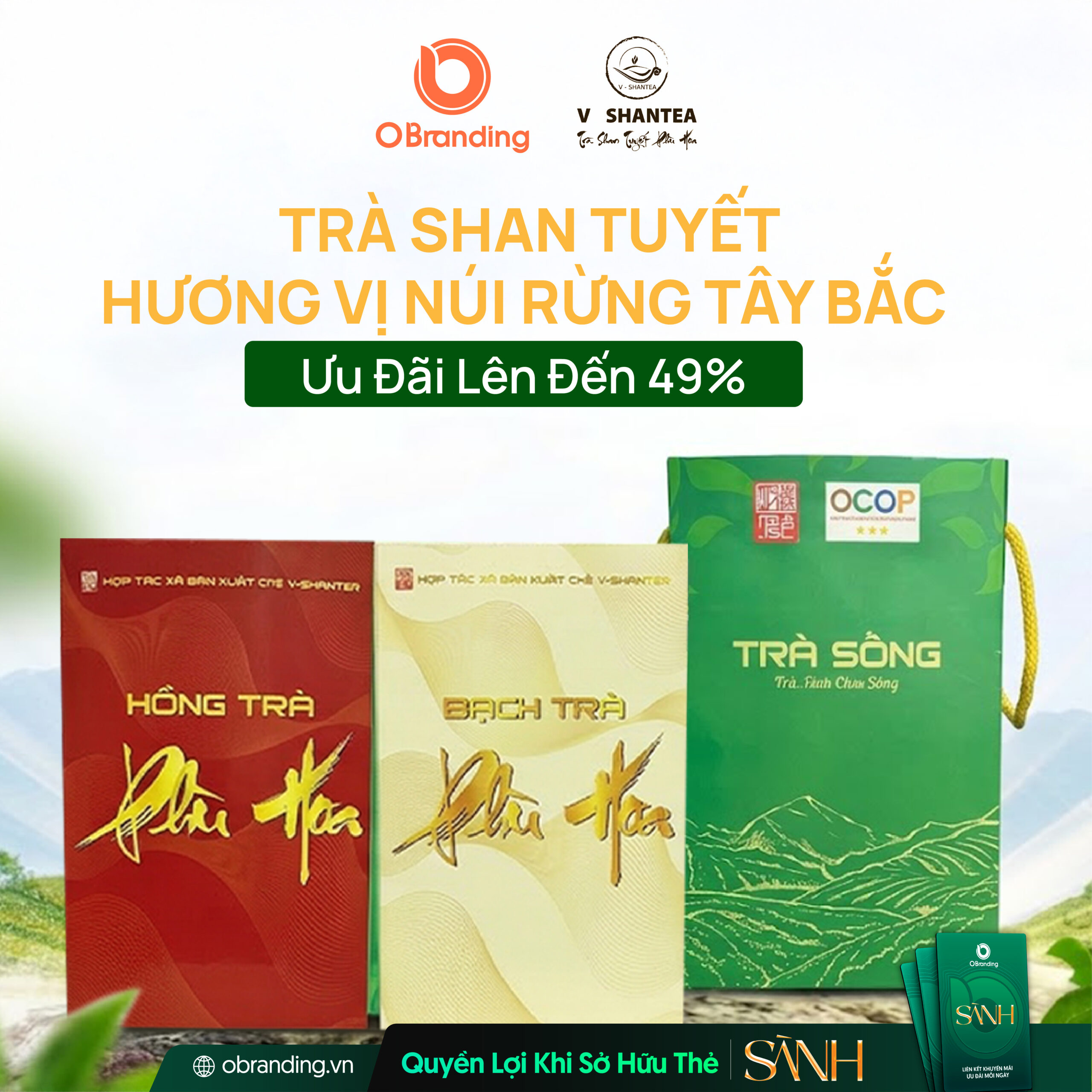 HỢP TÁC XÃ SẢN XUẤT CHÈ V-SHANTEA