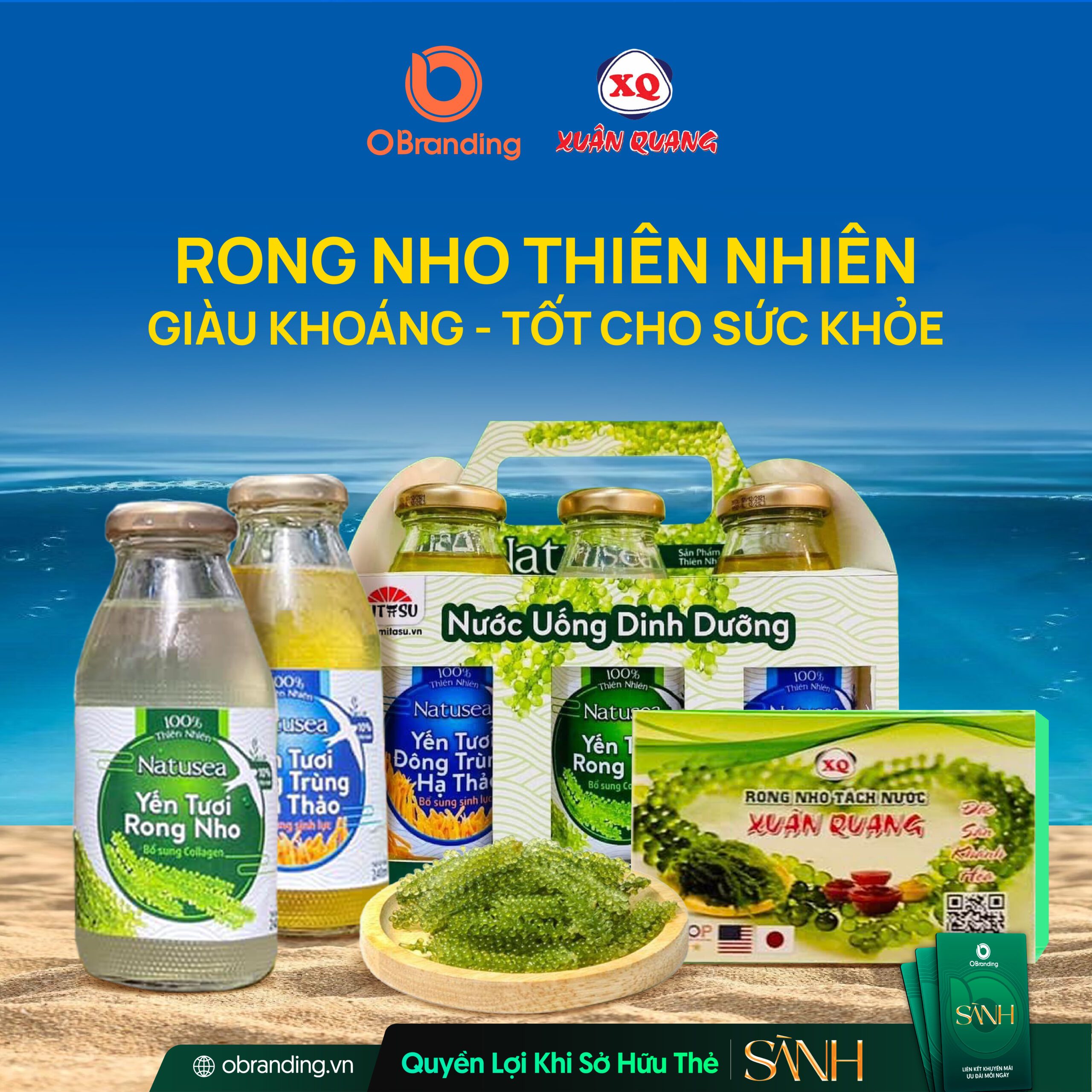 CÔNG TY TNHH RONG NHO XUÂN QUANG