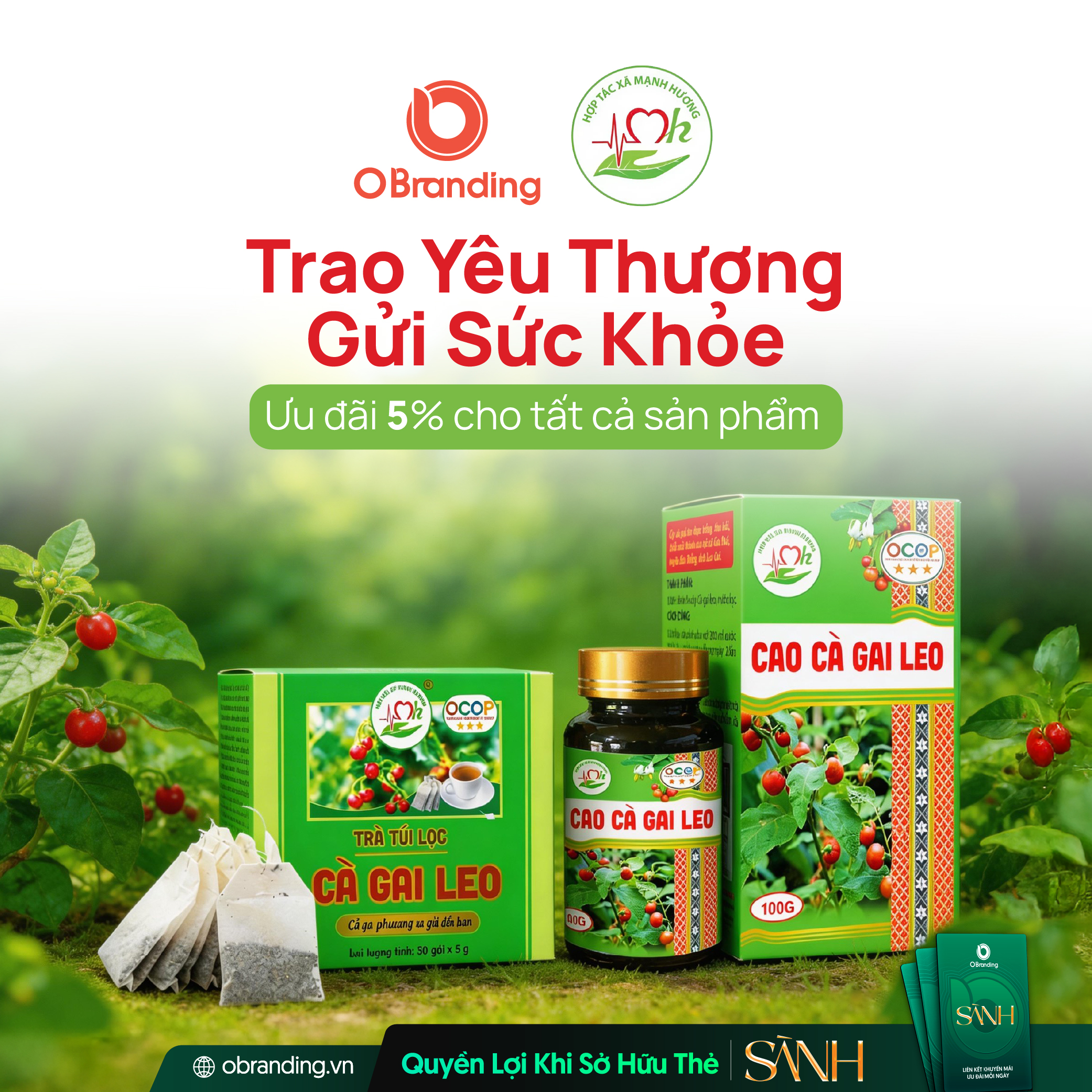 HỢP TÁC XÃ NÔNG SẢN DƯỢC LIỆU MẠNH HƯƠNG