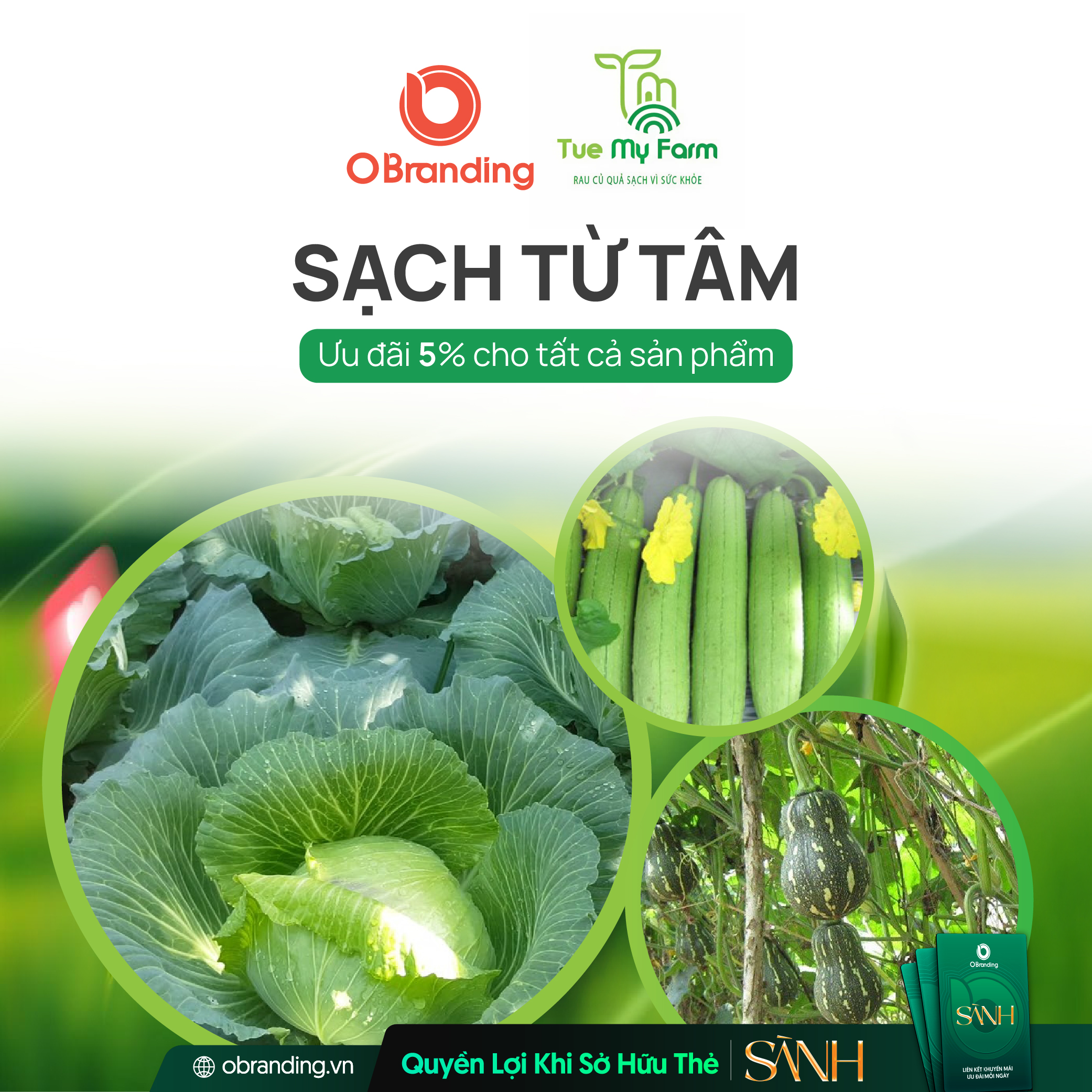 Tuệ My Farm